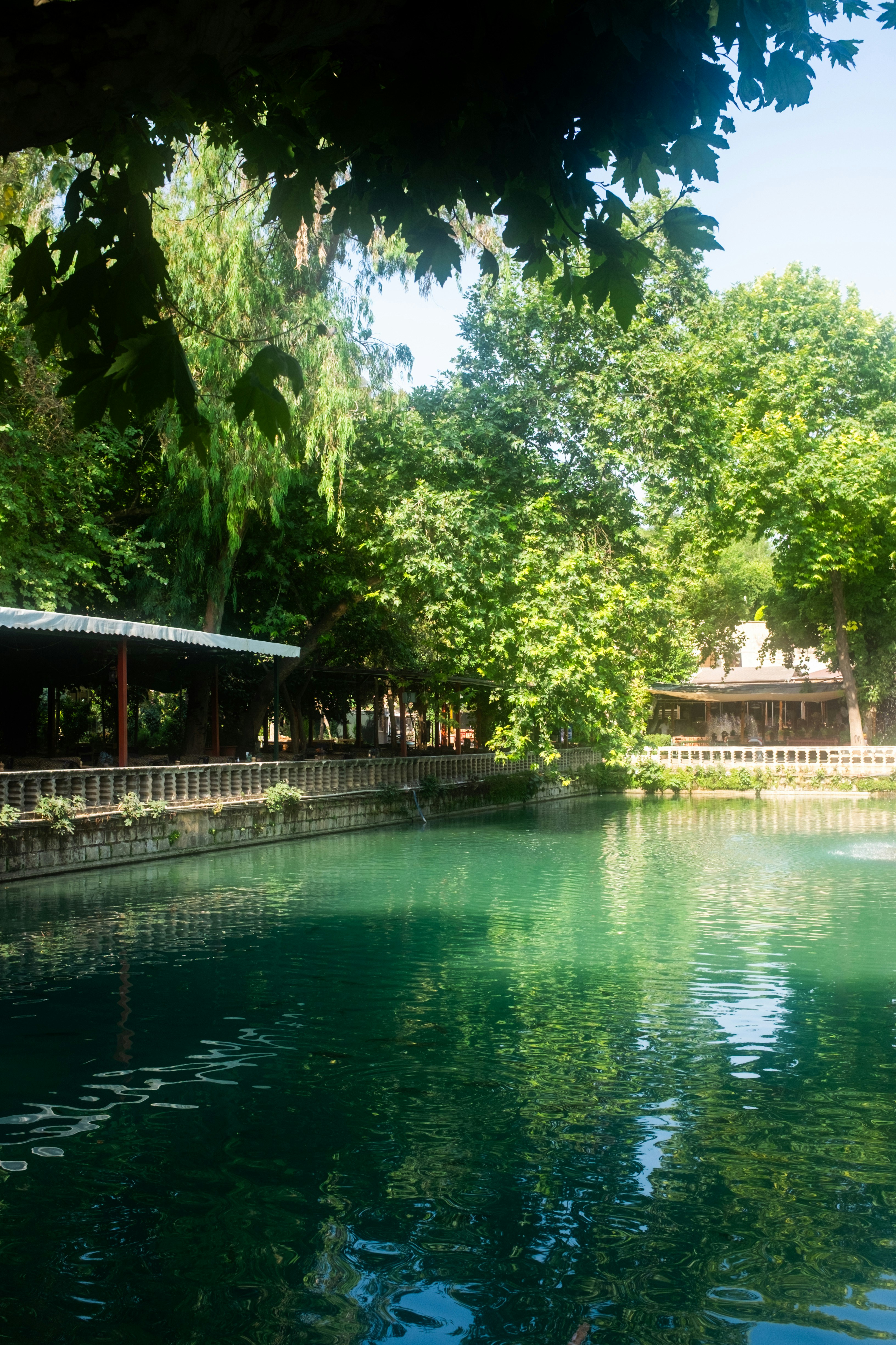 Photo by oldsoulframes