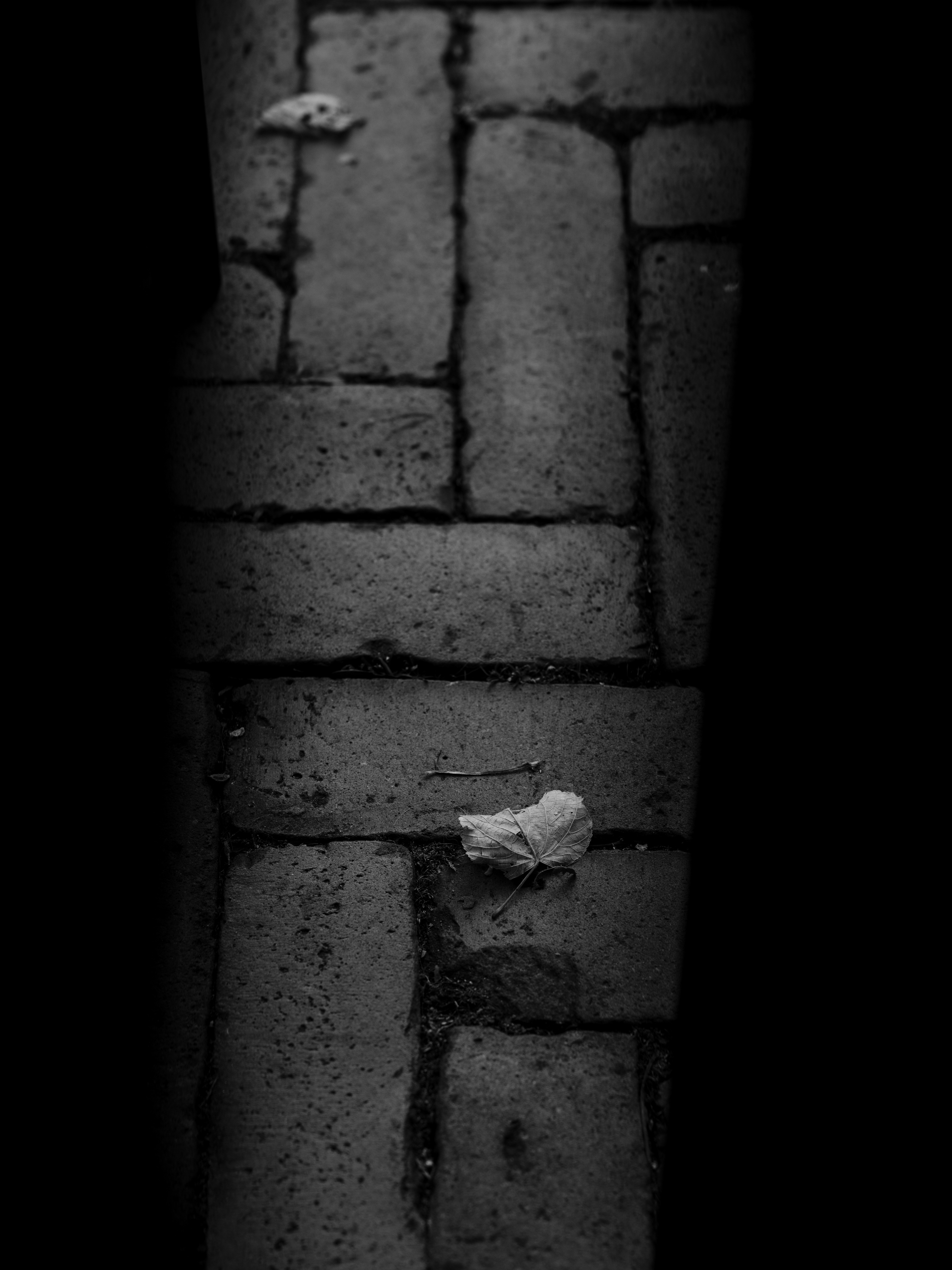 Photo by haberdoedas