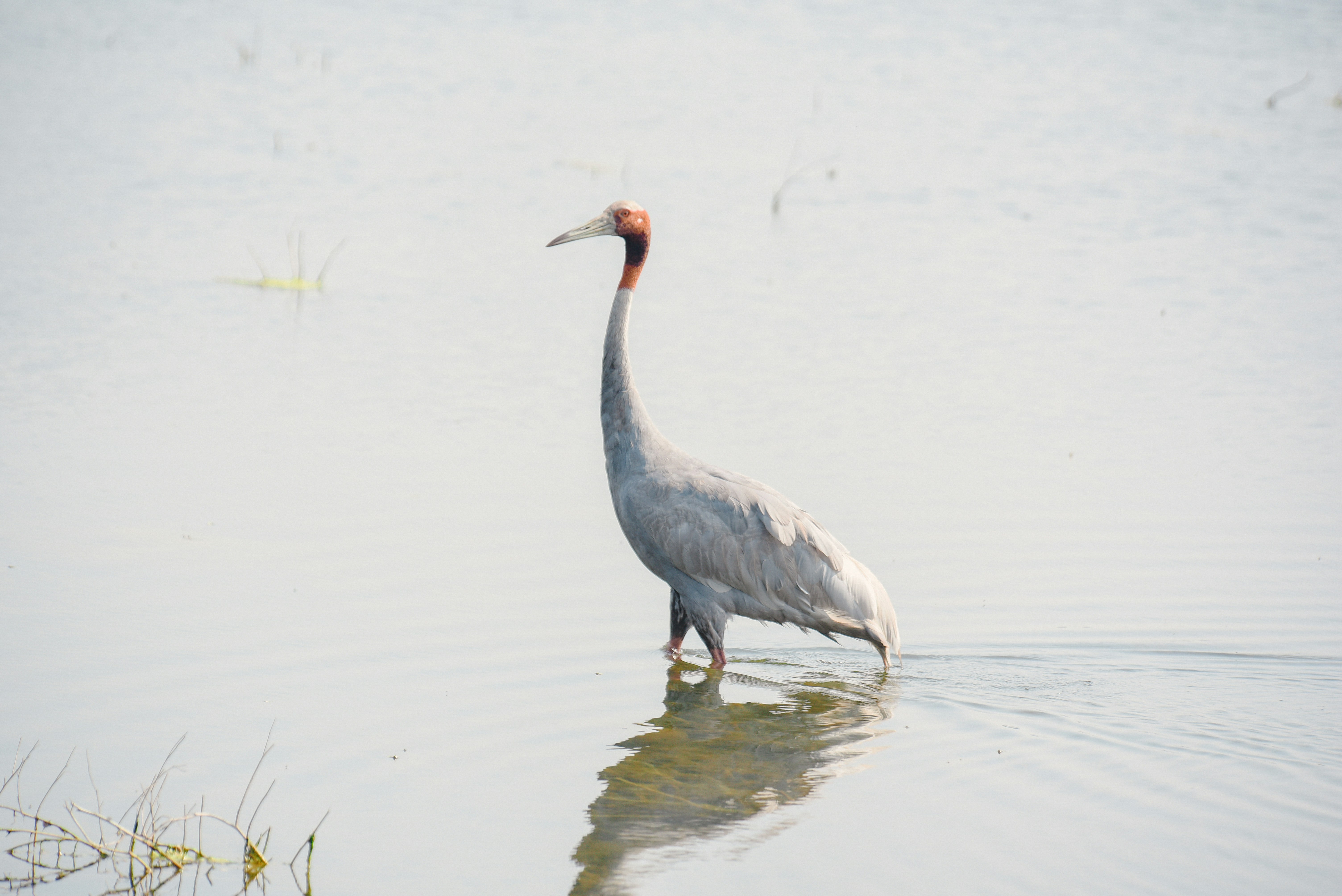 Photo by srivastavankit