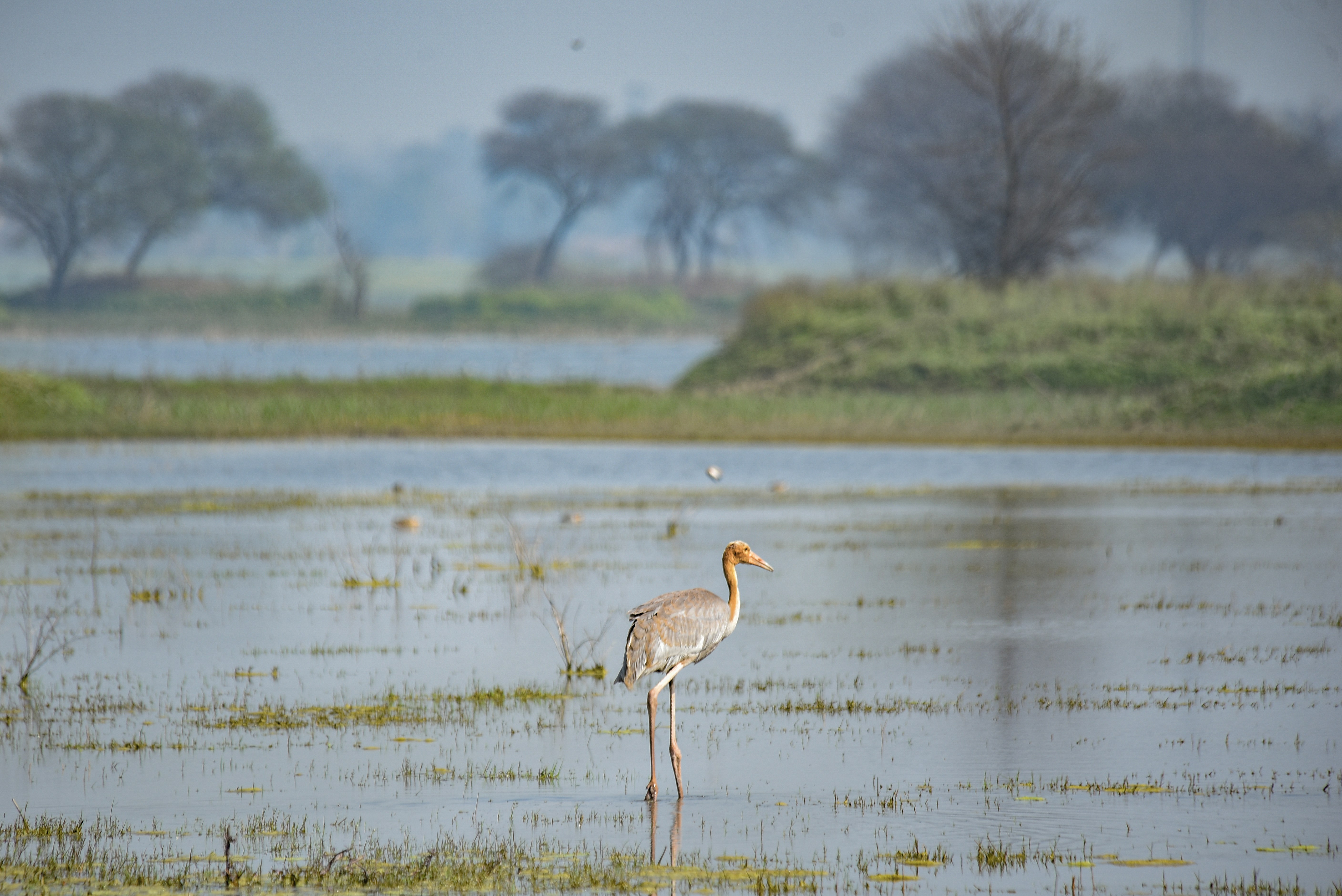 Photo by srivastavankit