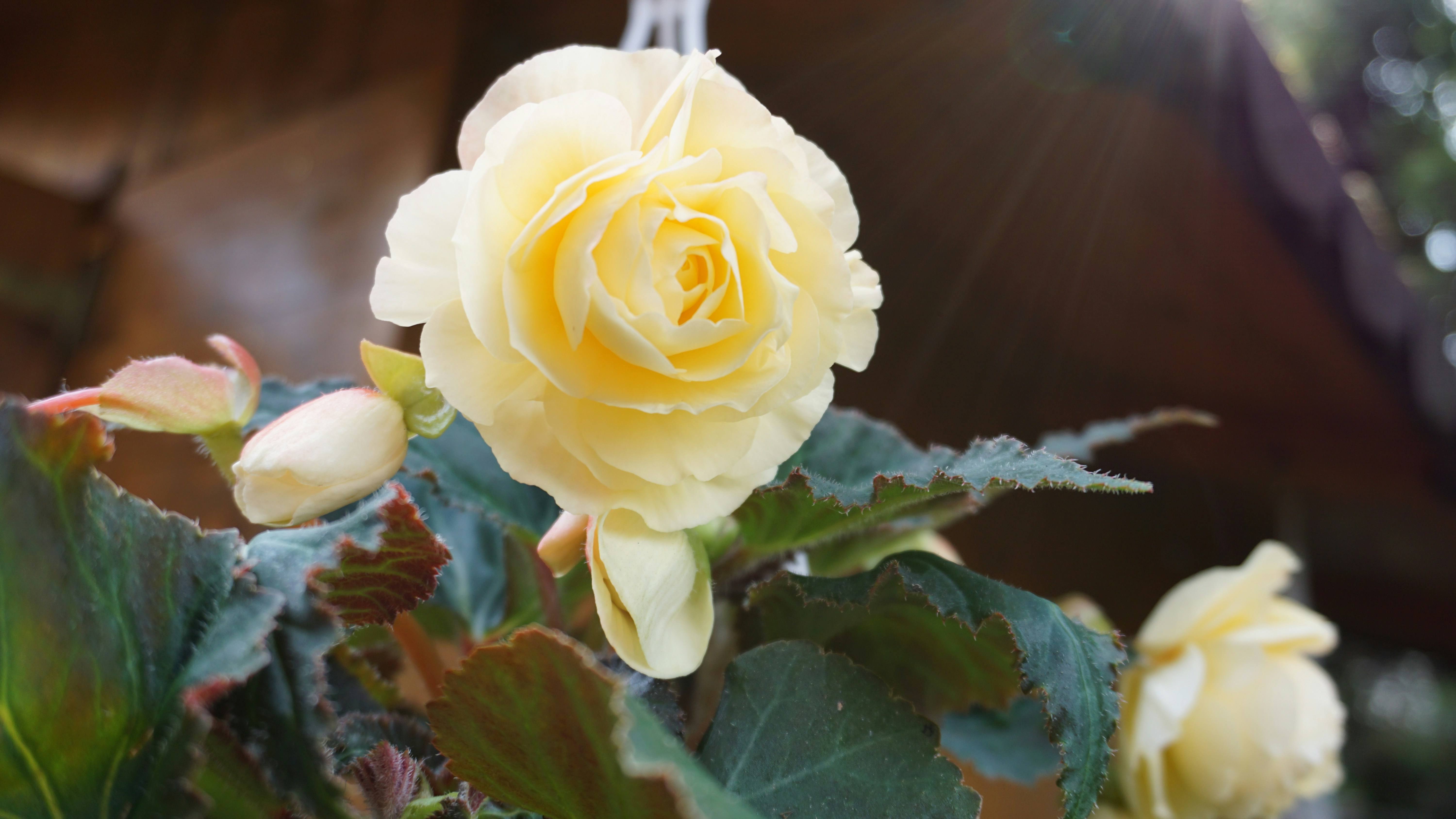 Photo by clickadelic