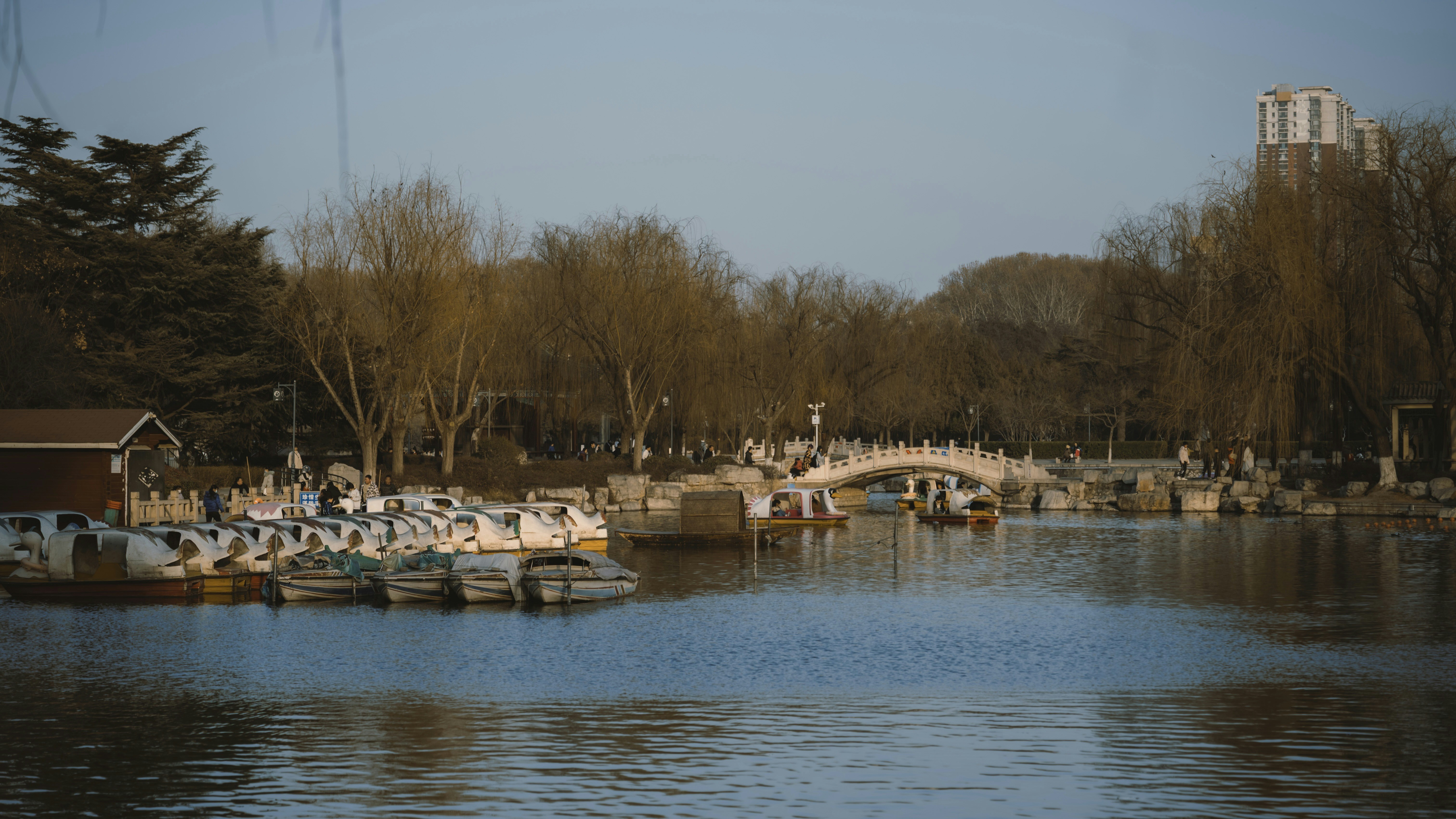 Photo by wangbinghua