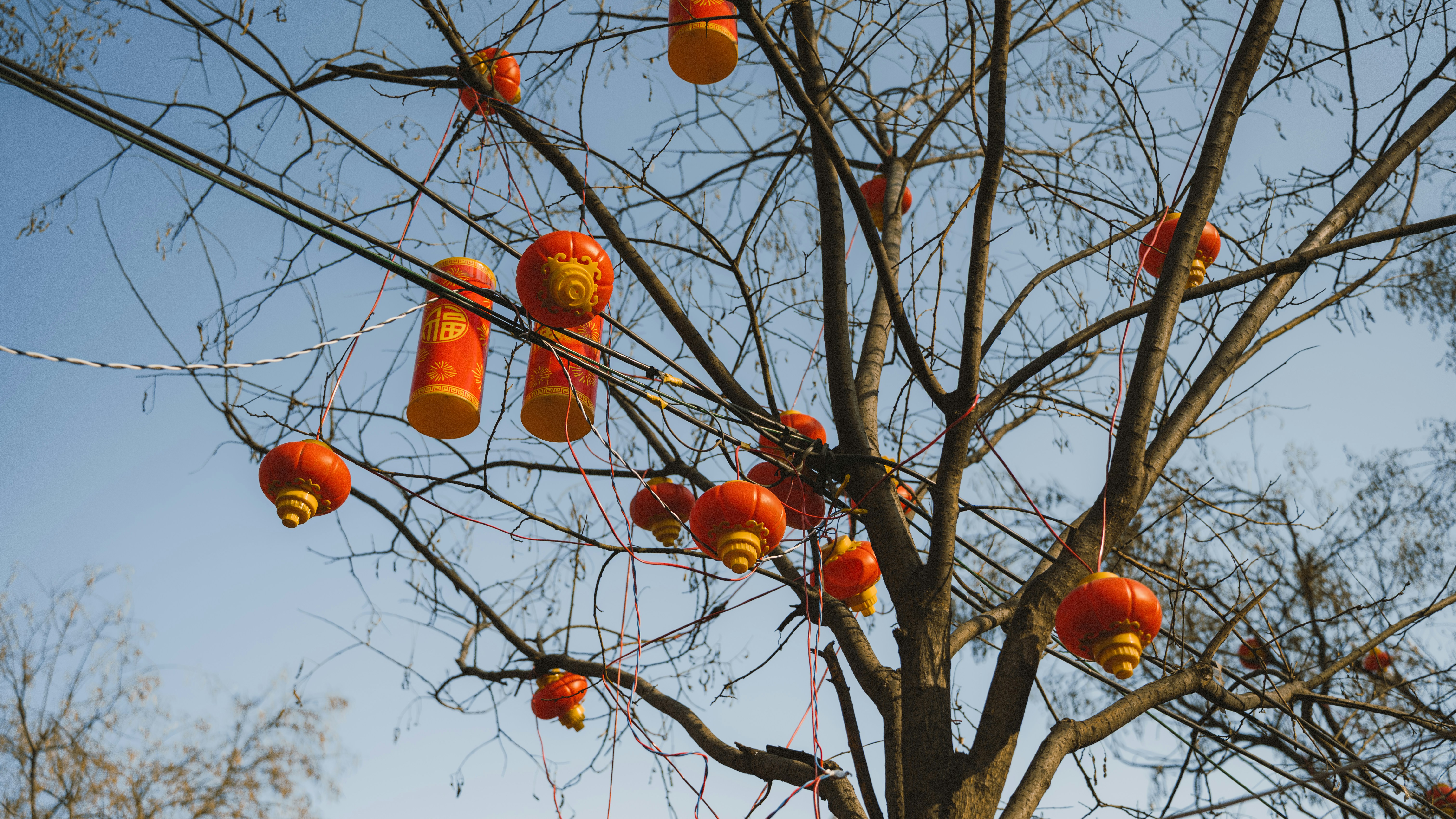 Photo by wangbinghua