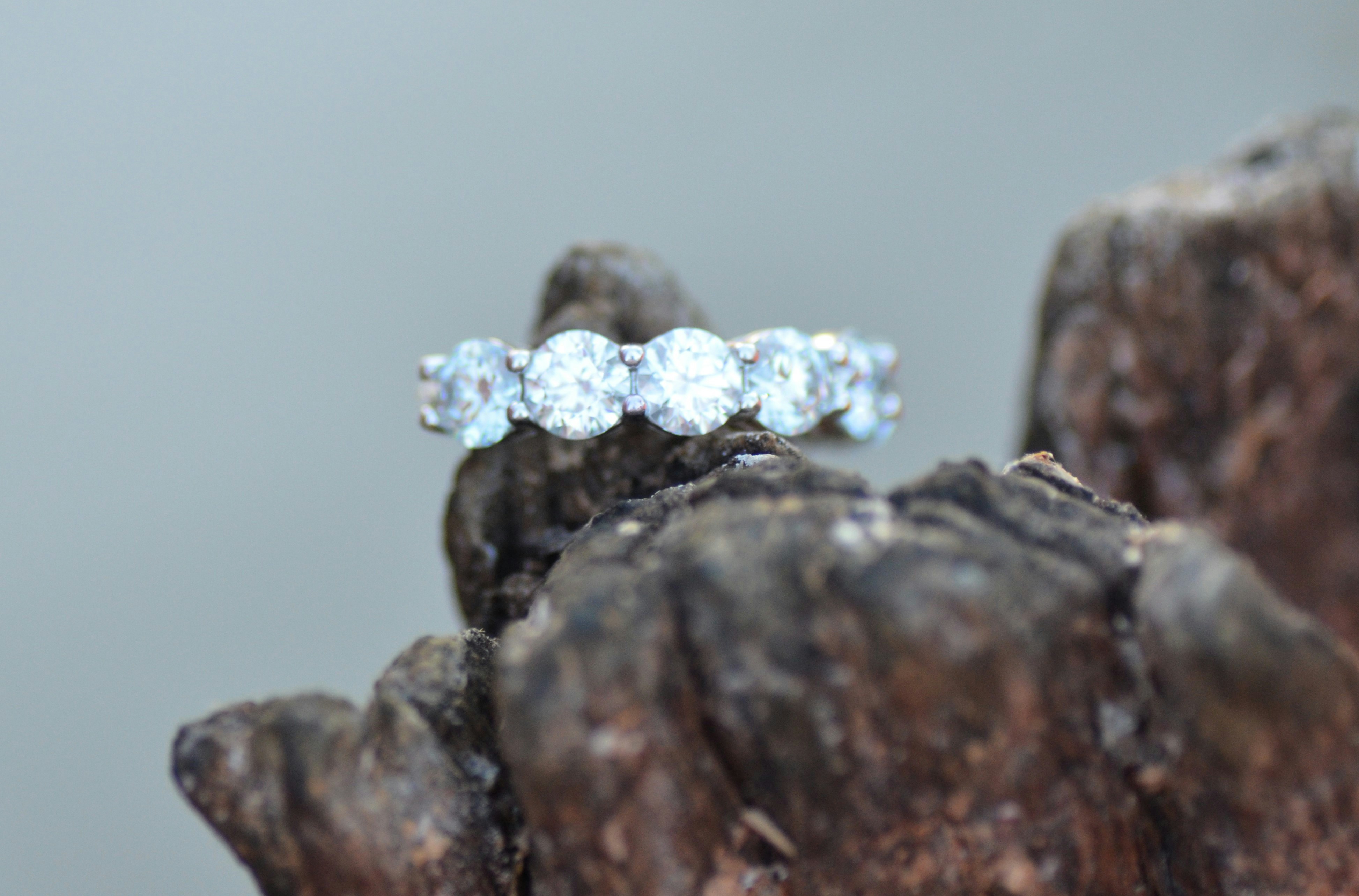 Photo by jessicadonnelly