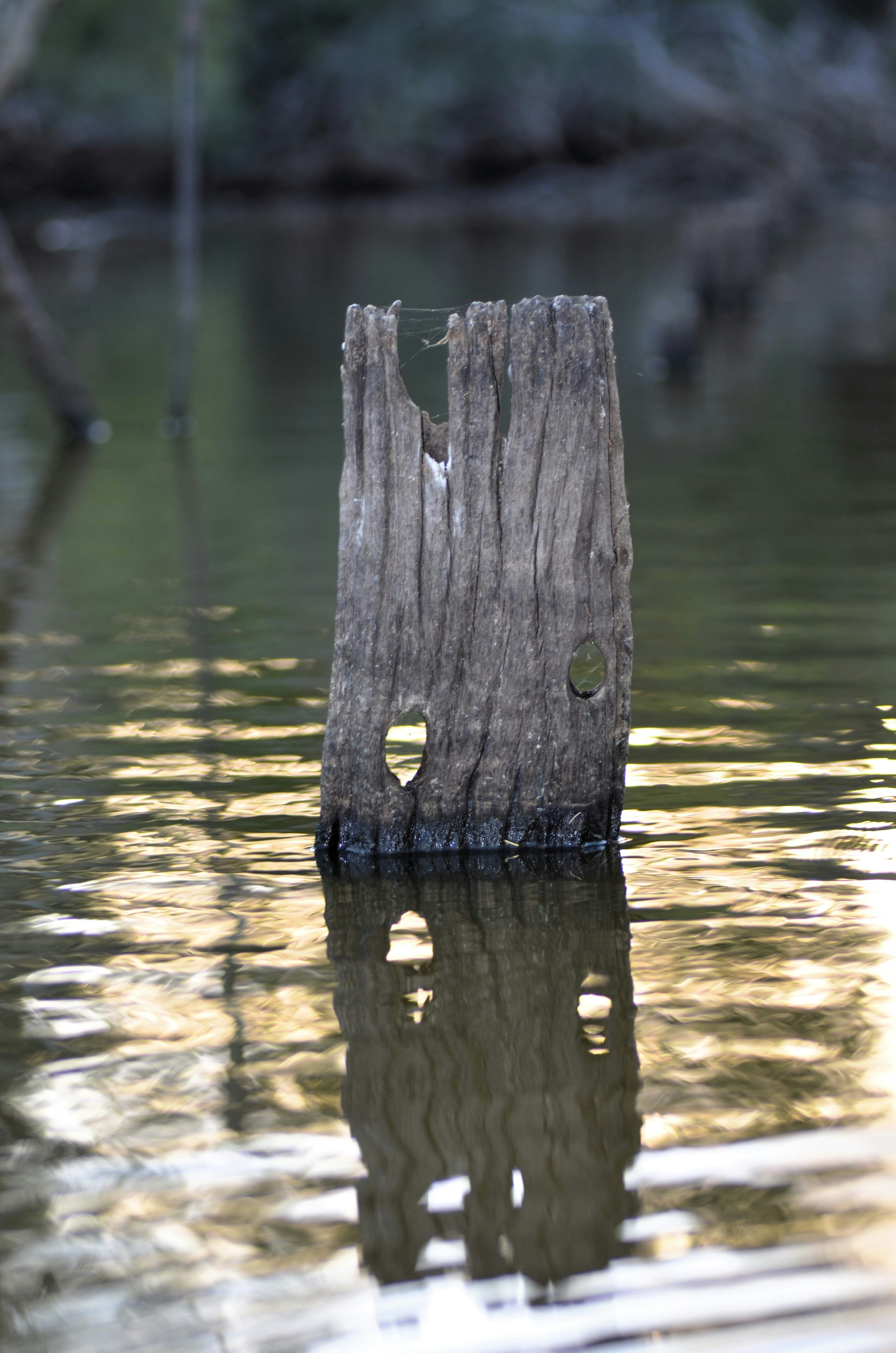 Photo by jessicadonnelly