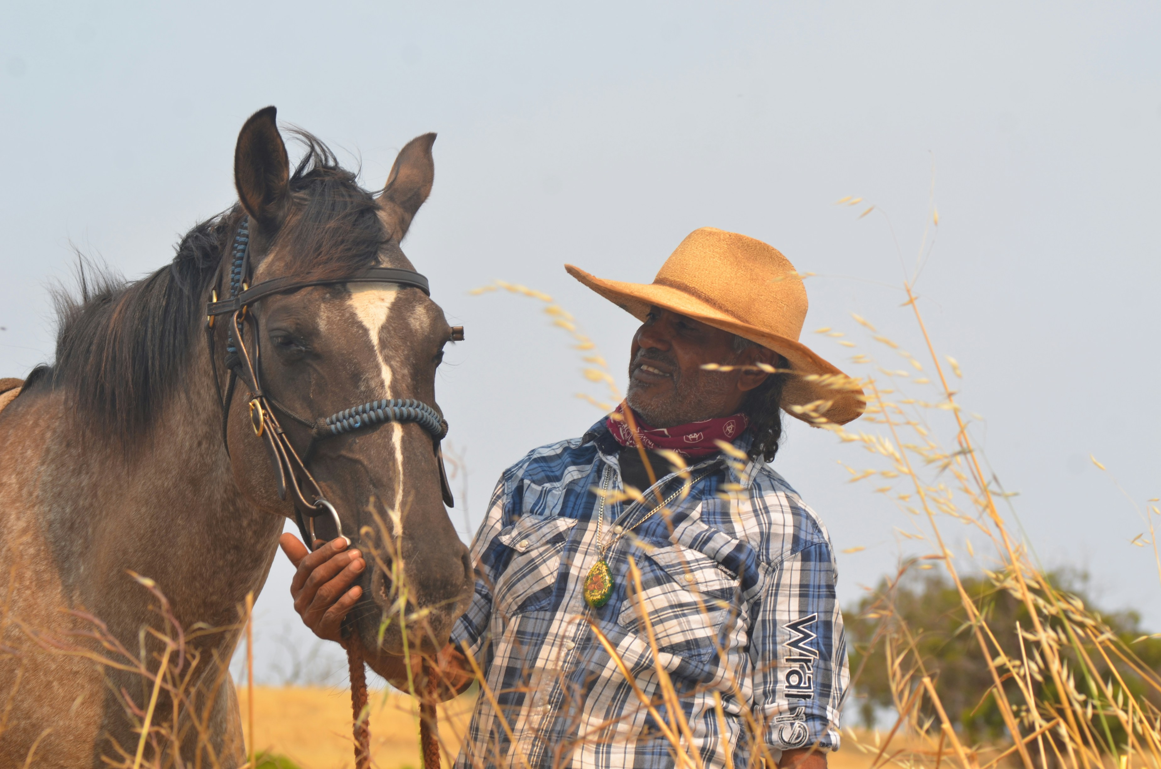 Cowboy with horse in a dry field