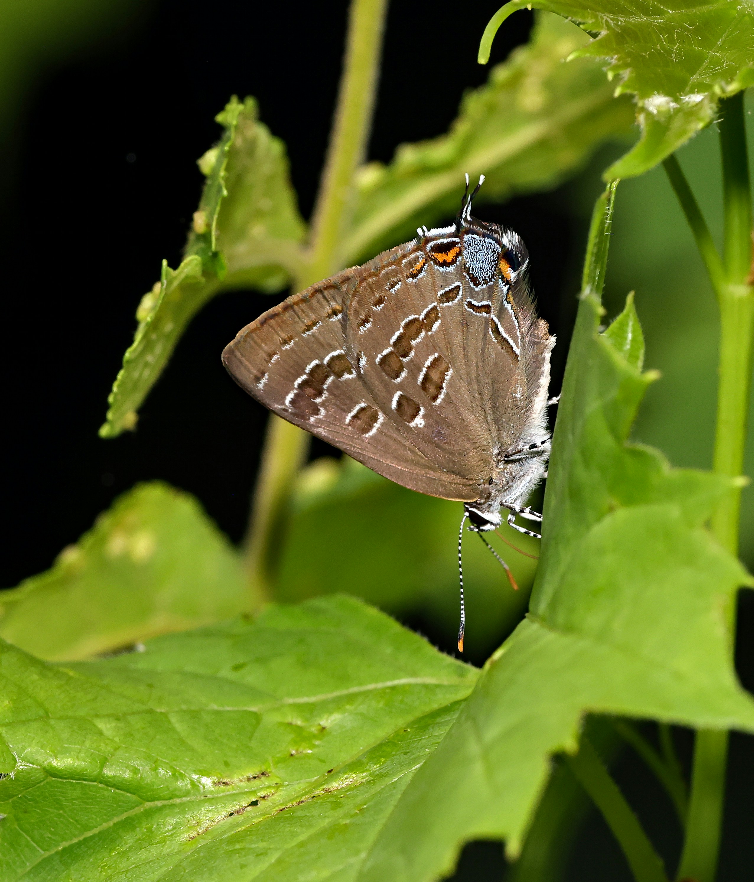 Photo by telliottmbamsc