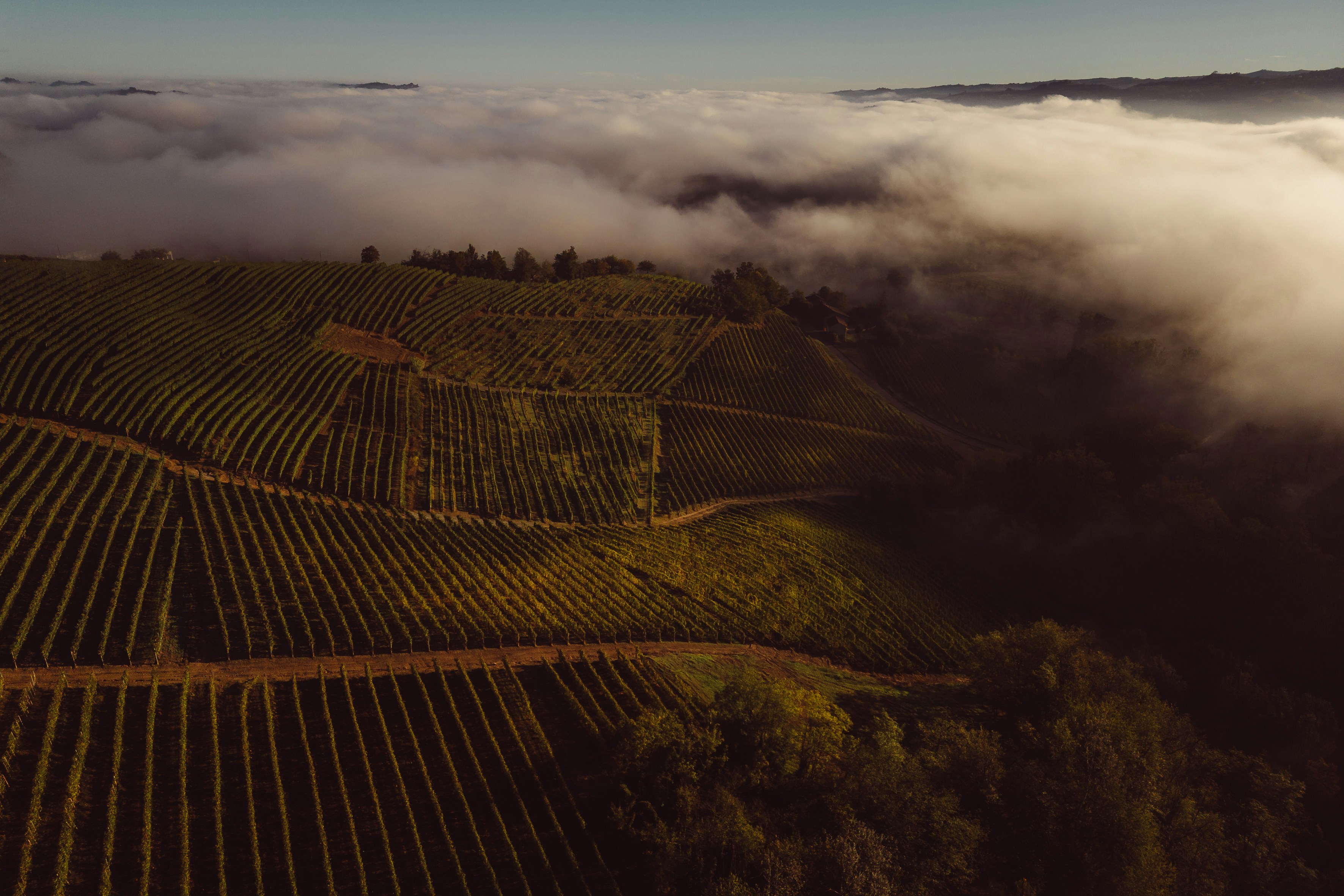 Photo by eugenystrzh