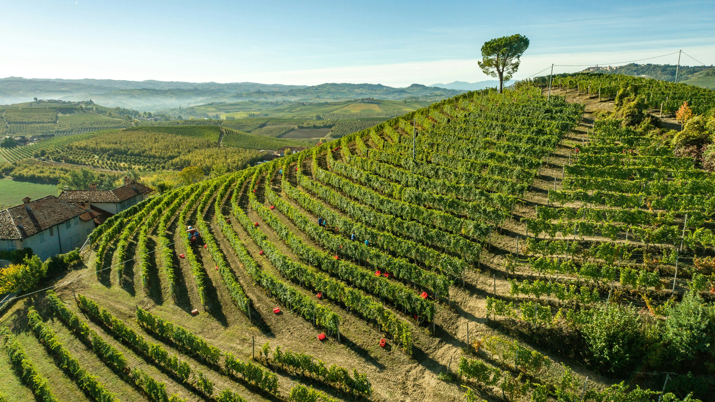 Photo by eugenystrzh