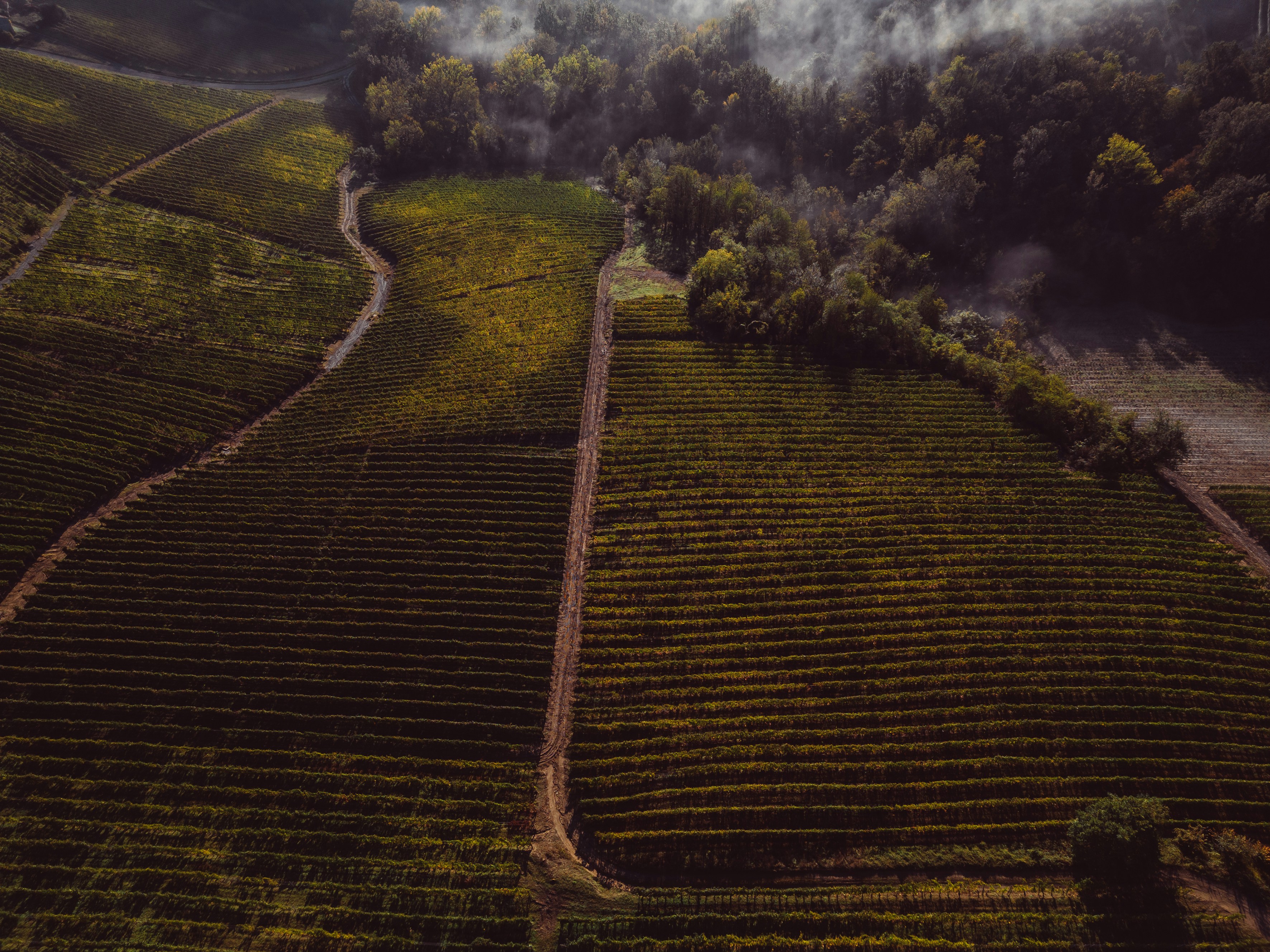 Photo by eugenystrzh