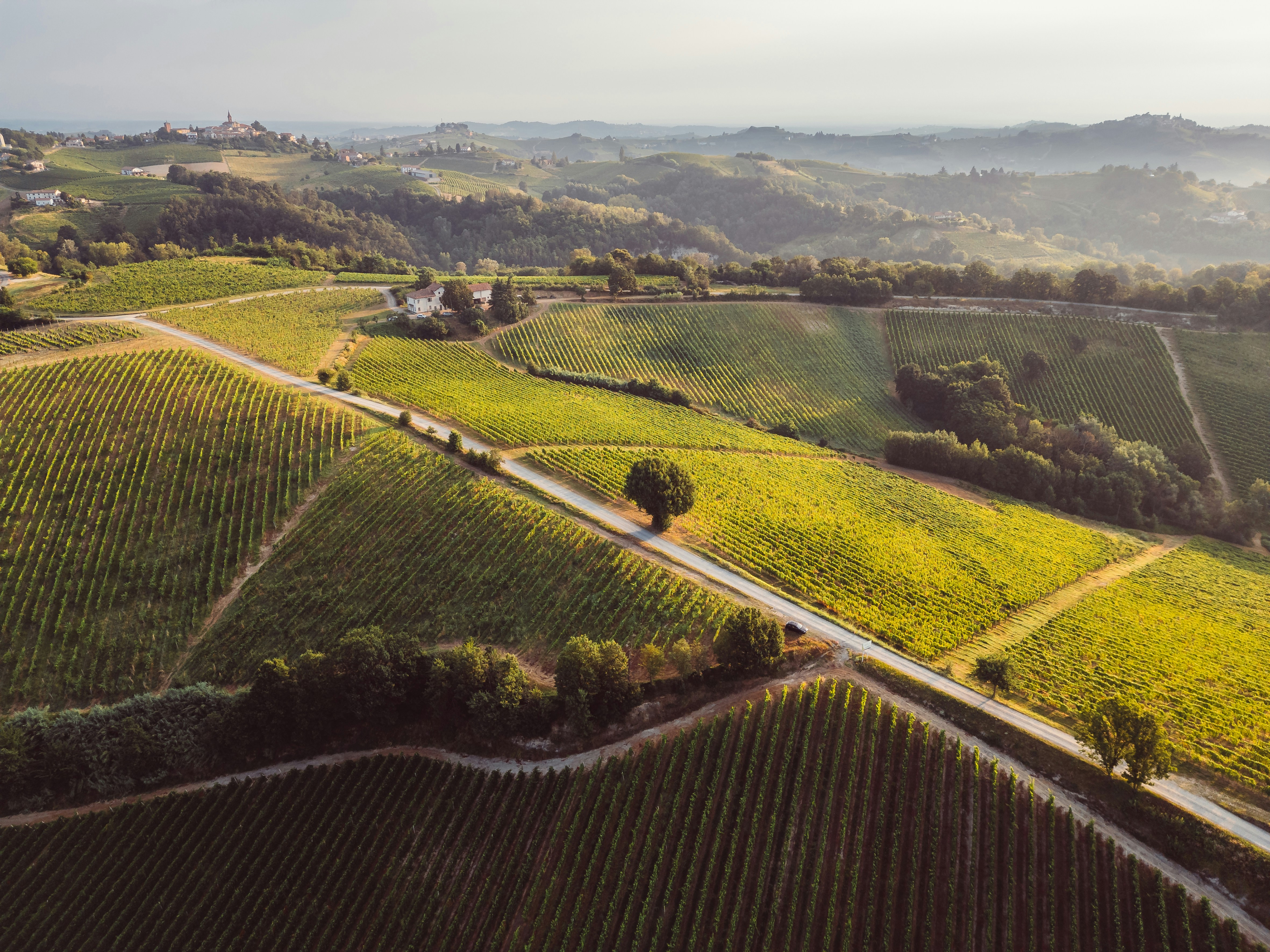 Photo by eugenystrzh