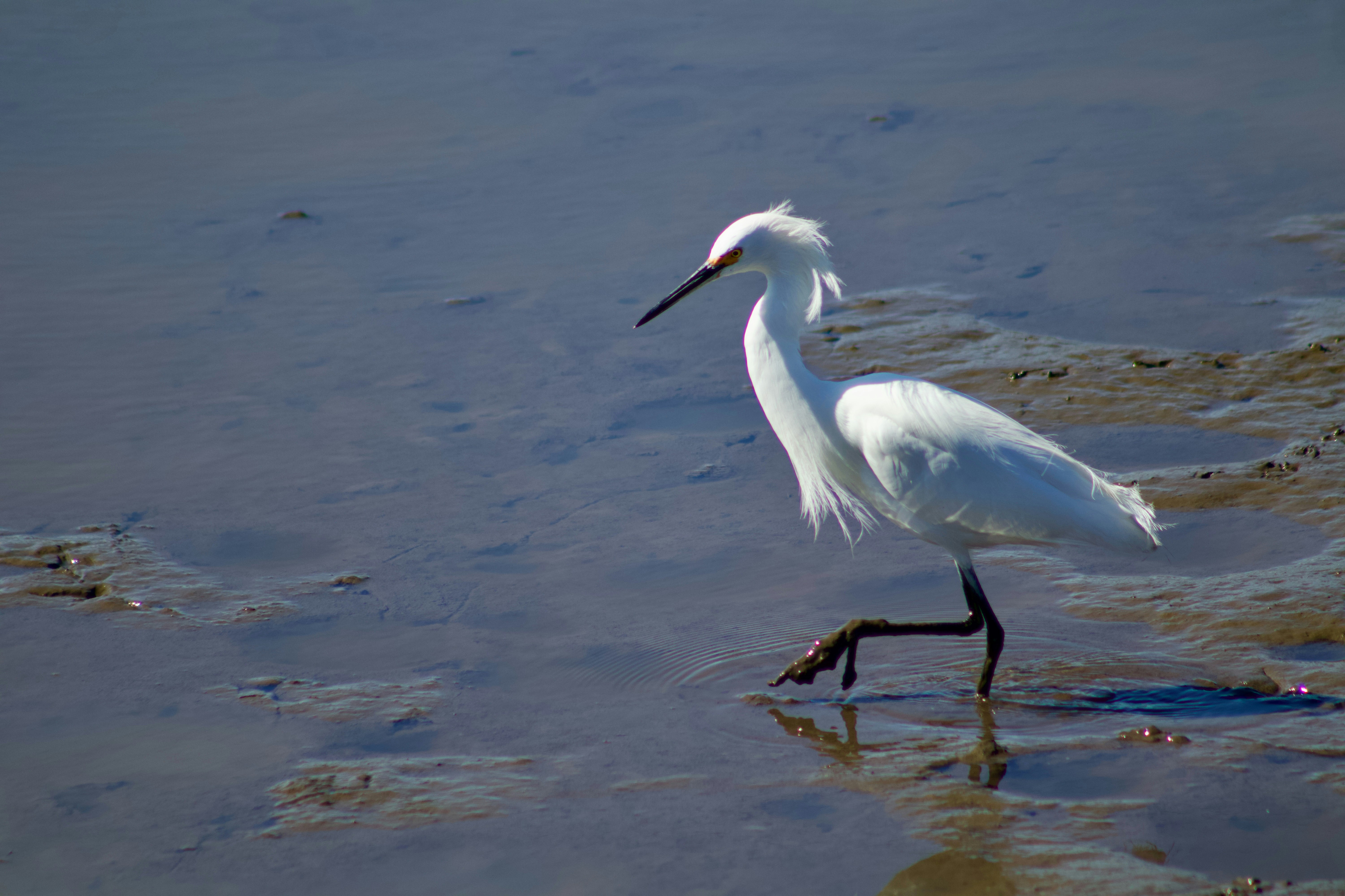 Photo by wilsonsharpshots