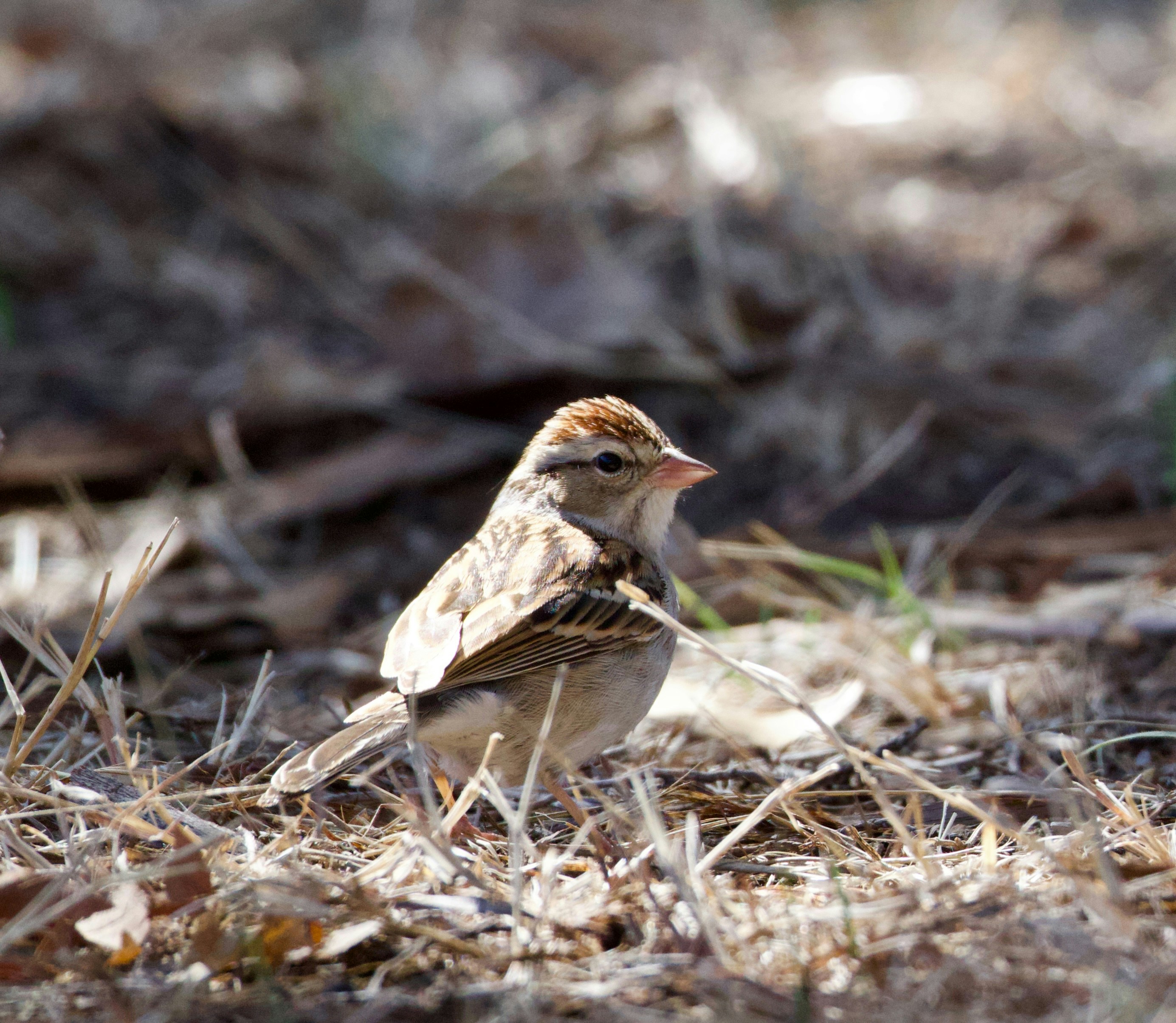 Photo by wilsonsharpshots