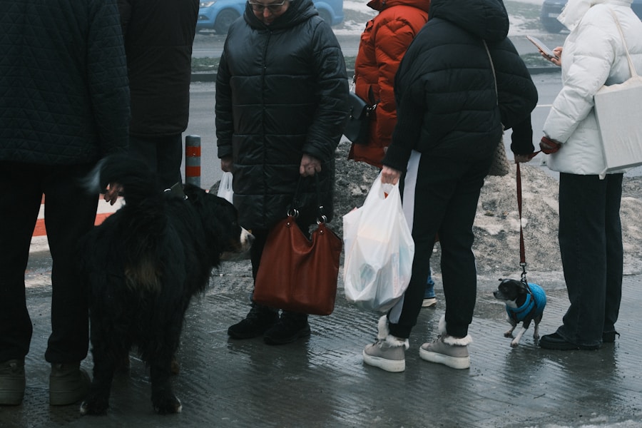 Dog Walking Laws UK 2026: Lead Rules, Fouling Fines and Your Rights