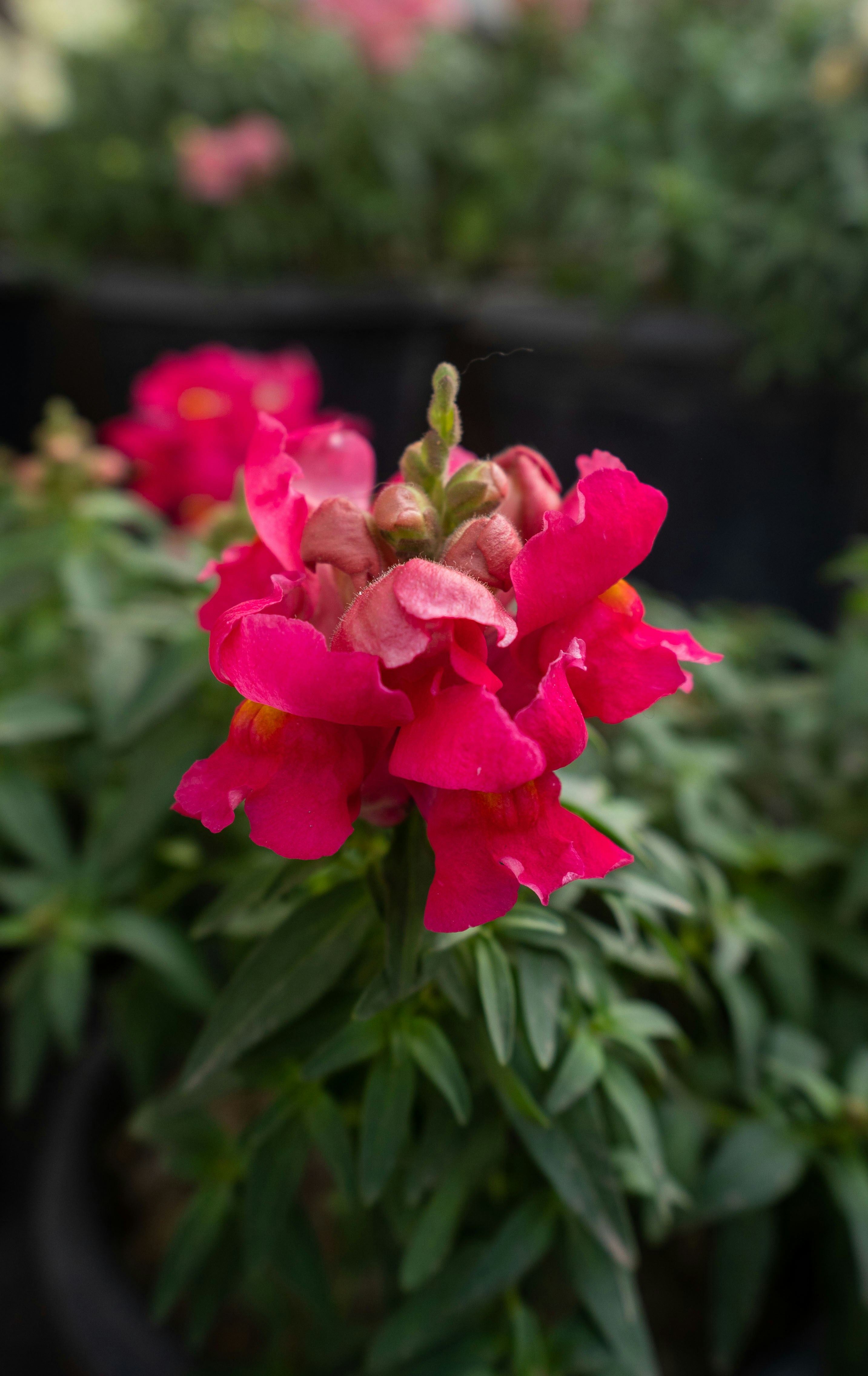 Photo by abhishektirkey