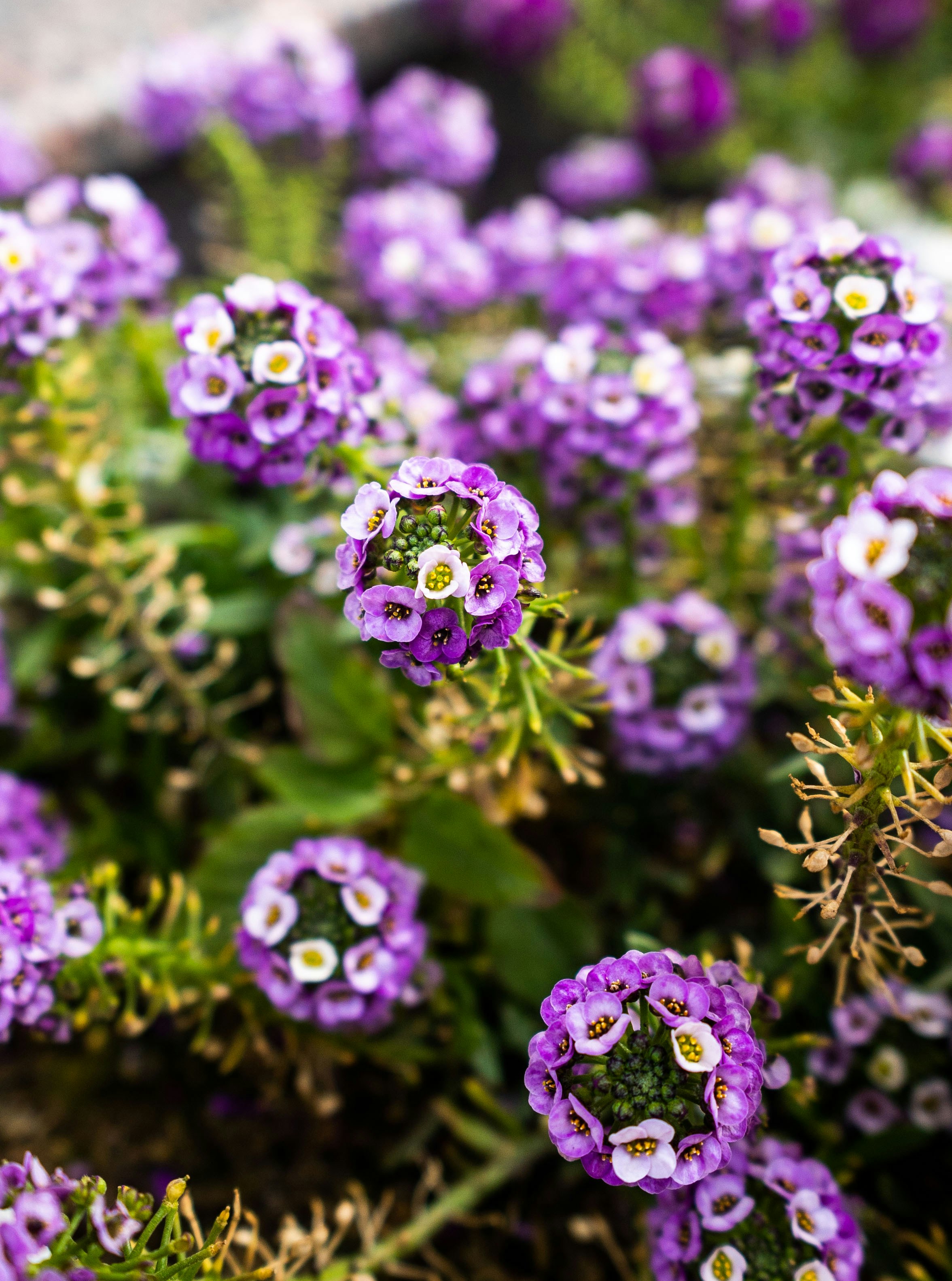 Photo by abhishektirkey