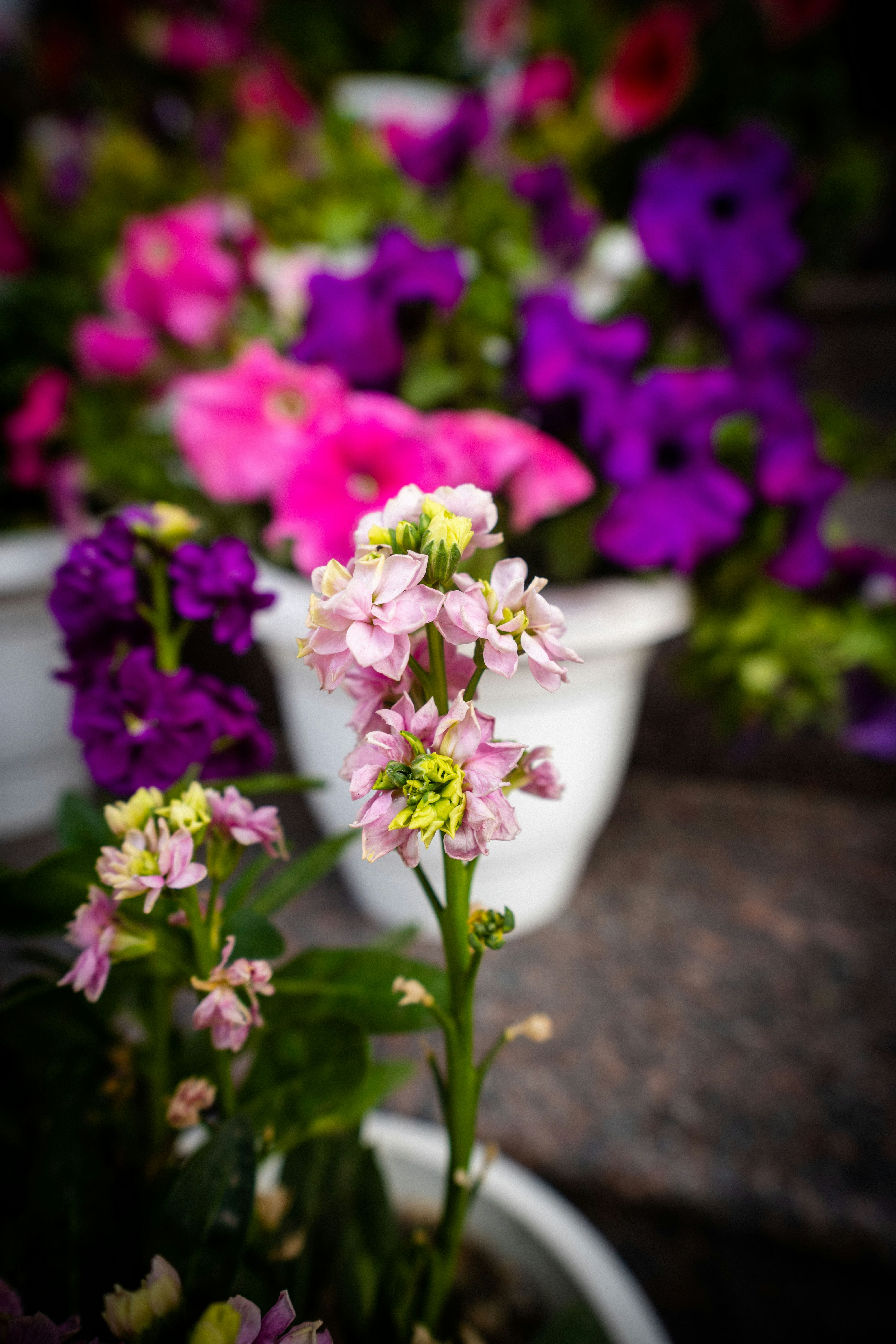 Photo by abhishektirkey