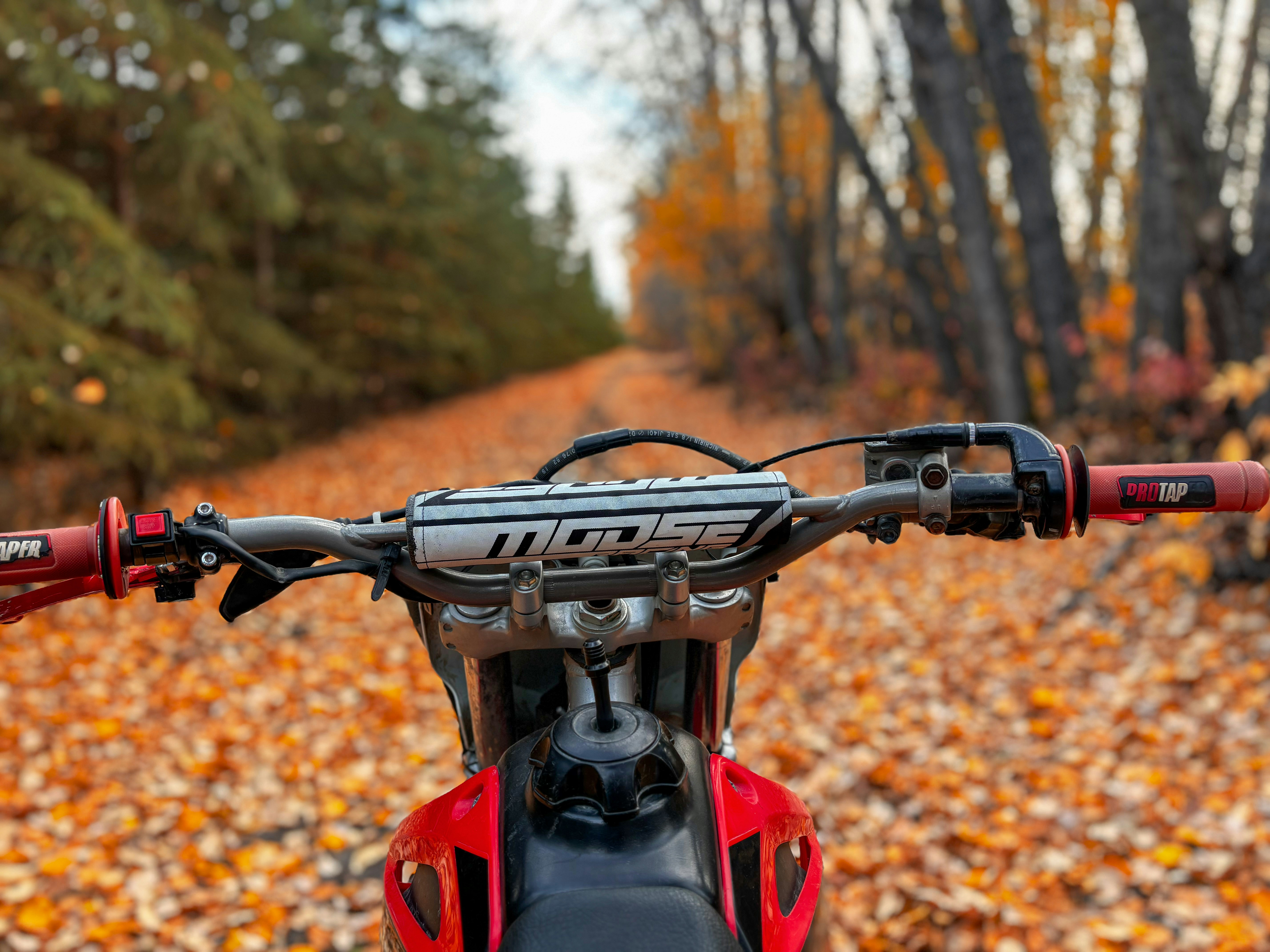 Guidon de moto tout-terrain sur un chemin forestier couvert de feuilles