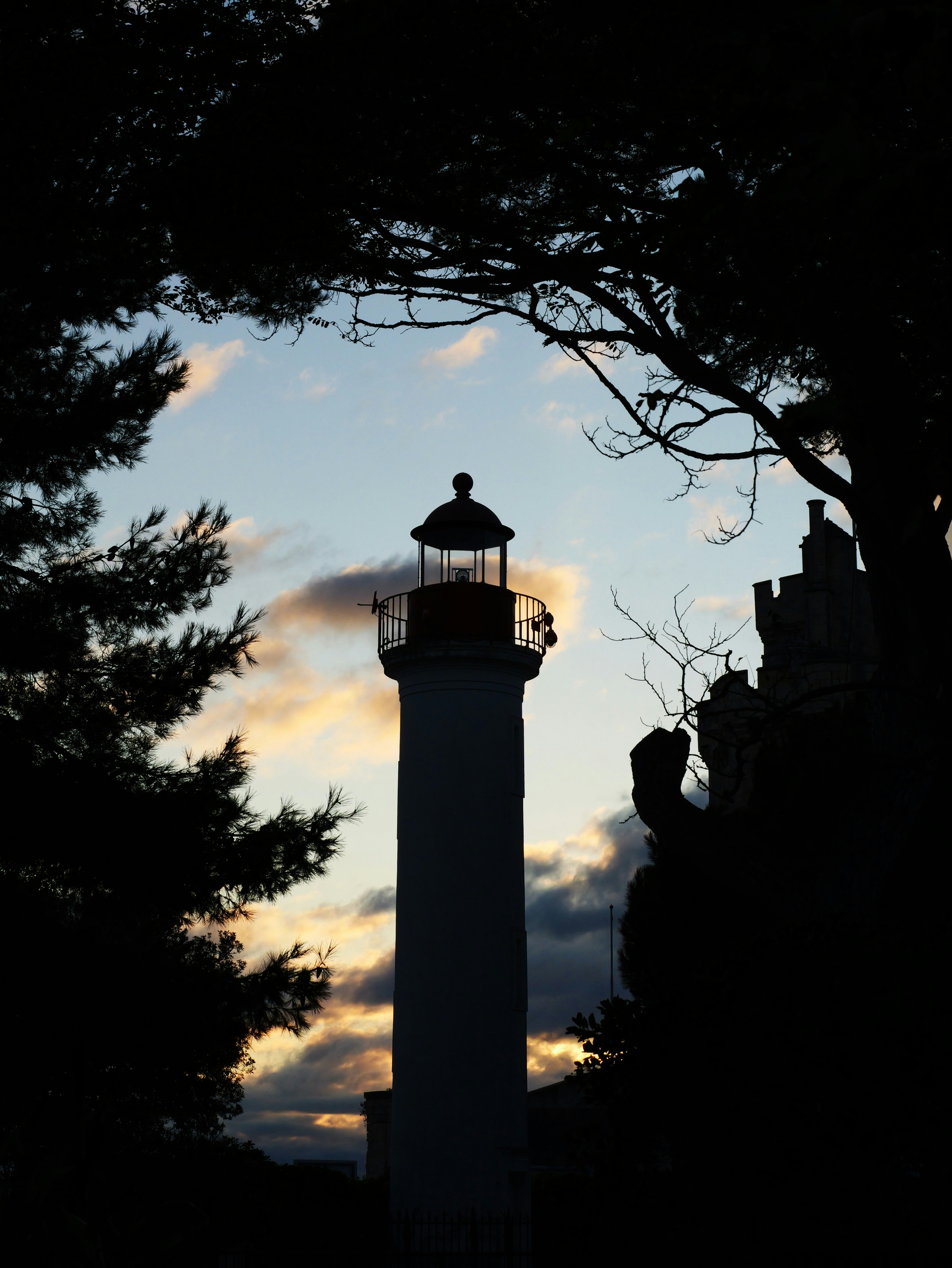 Photo by nimbus_vulpis