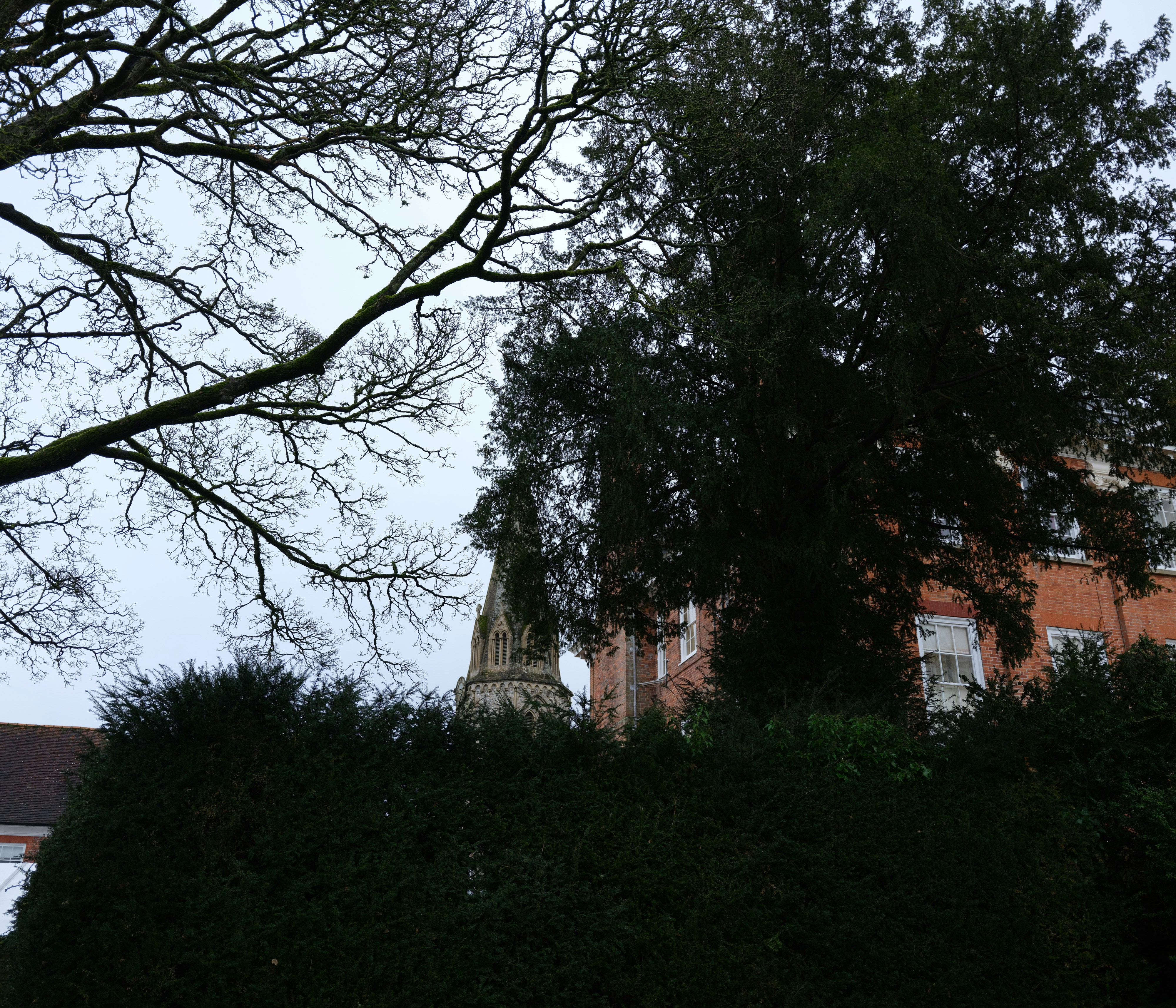 Photo by tanyabarrow