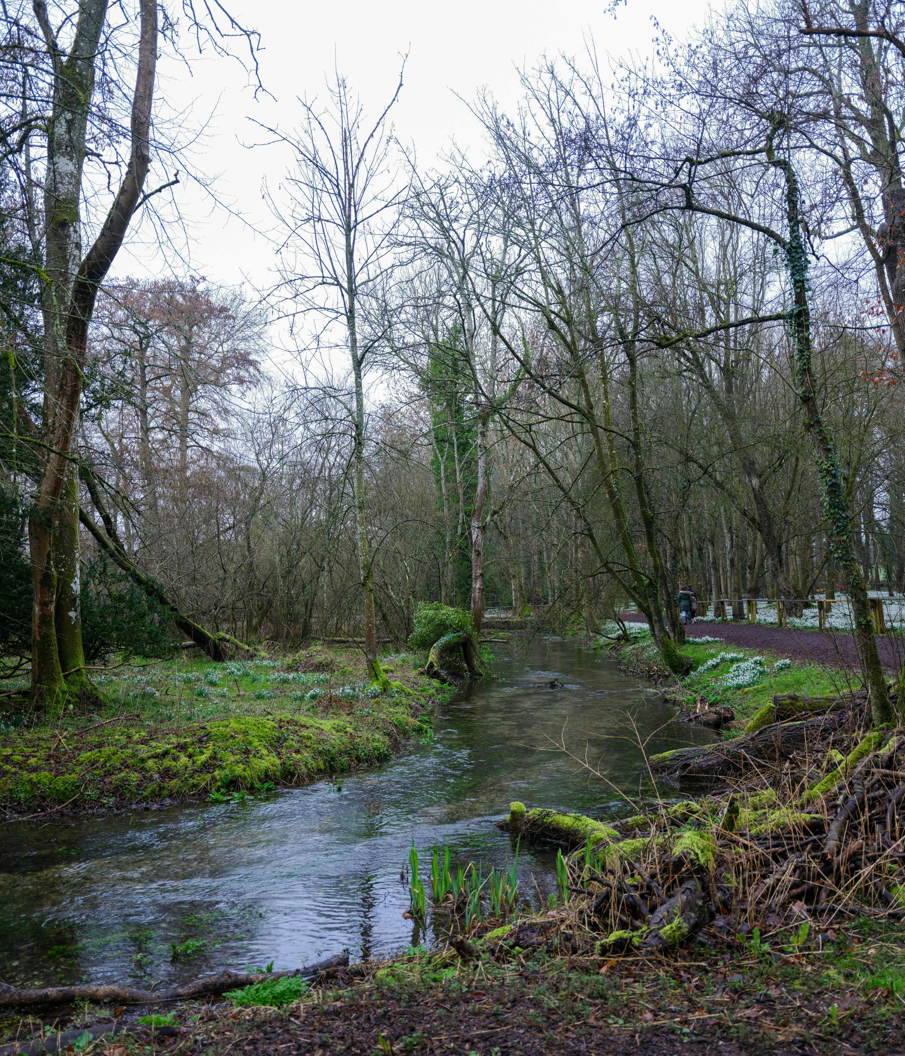 Photo by tanyabarrow