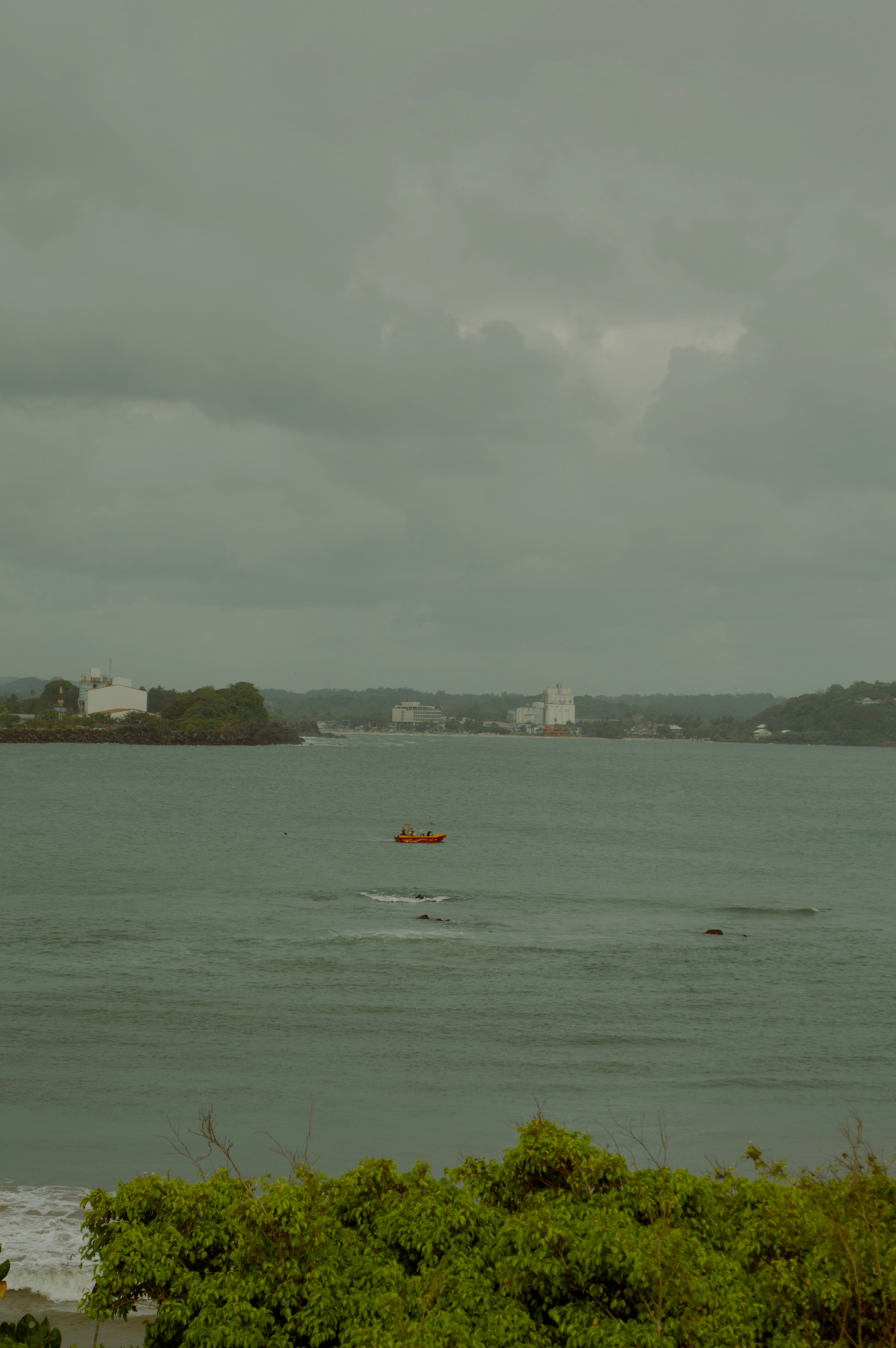 Photo by wayracreative