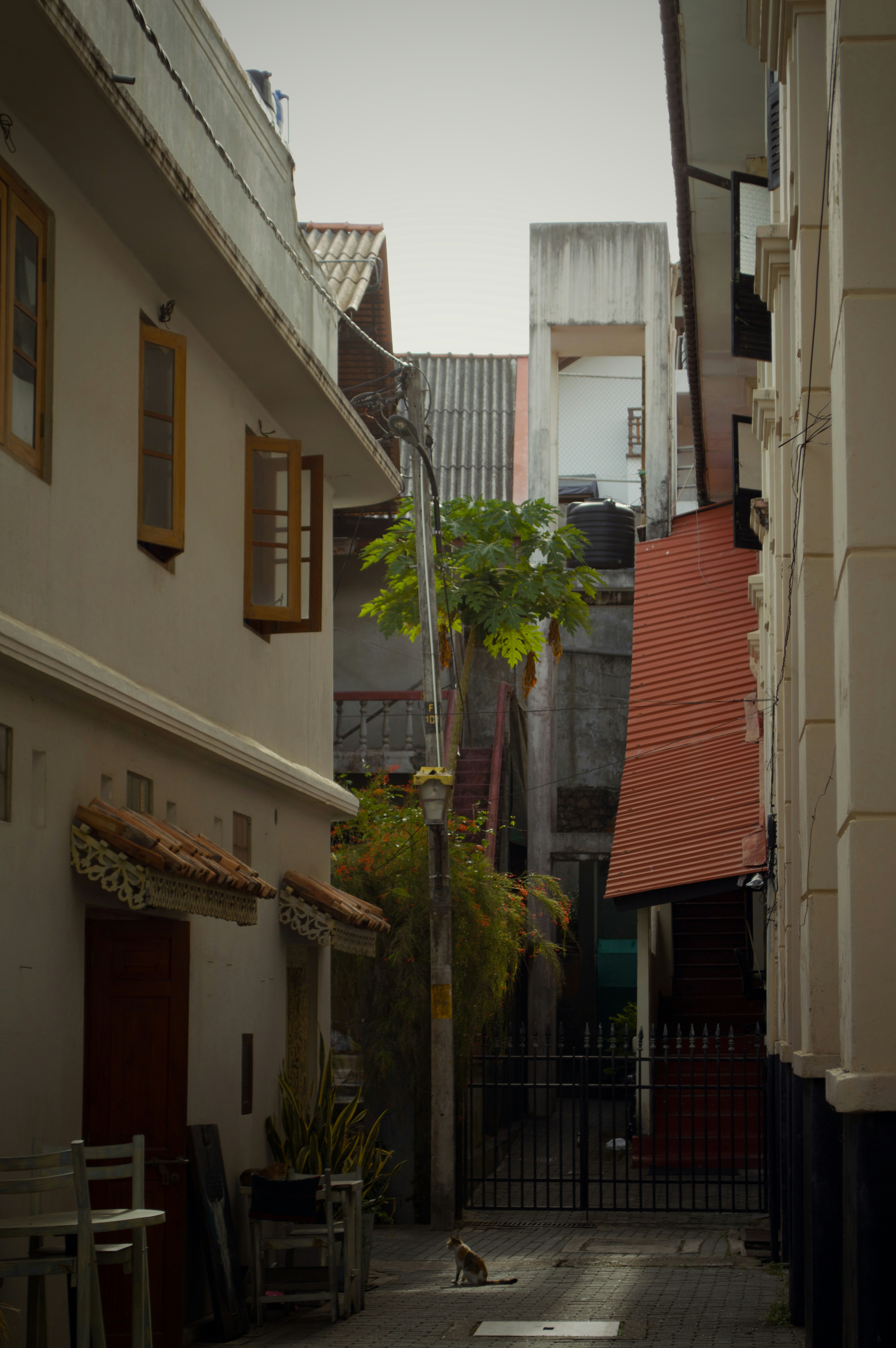 Photo by wayracreative