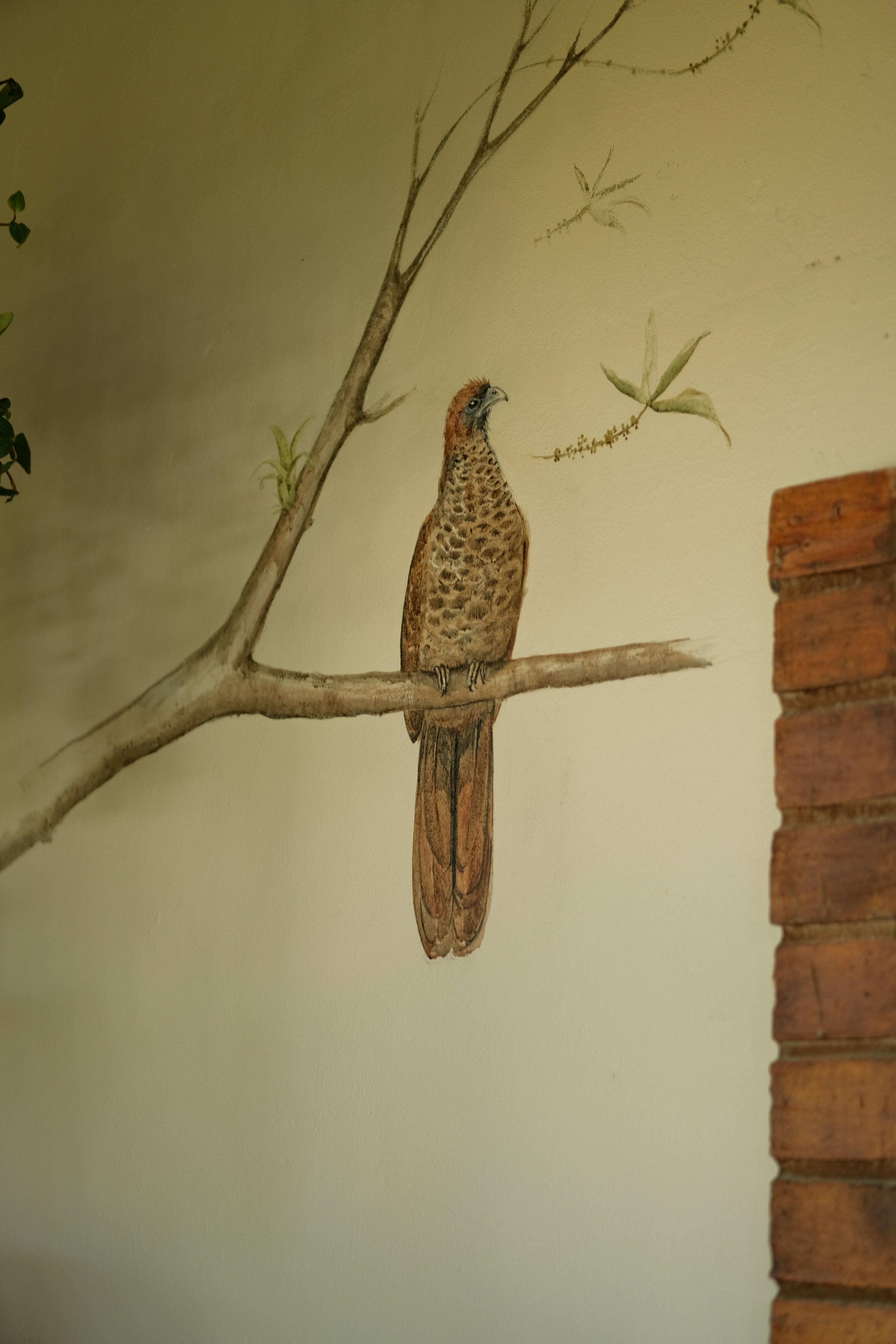 Un uccello dipinto siede su un ramo d'albero