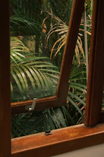 View through an open window to lush green palm leaves