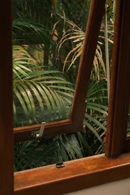 View through an open window to lush green palm leaves