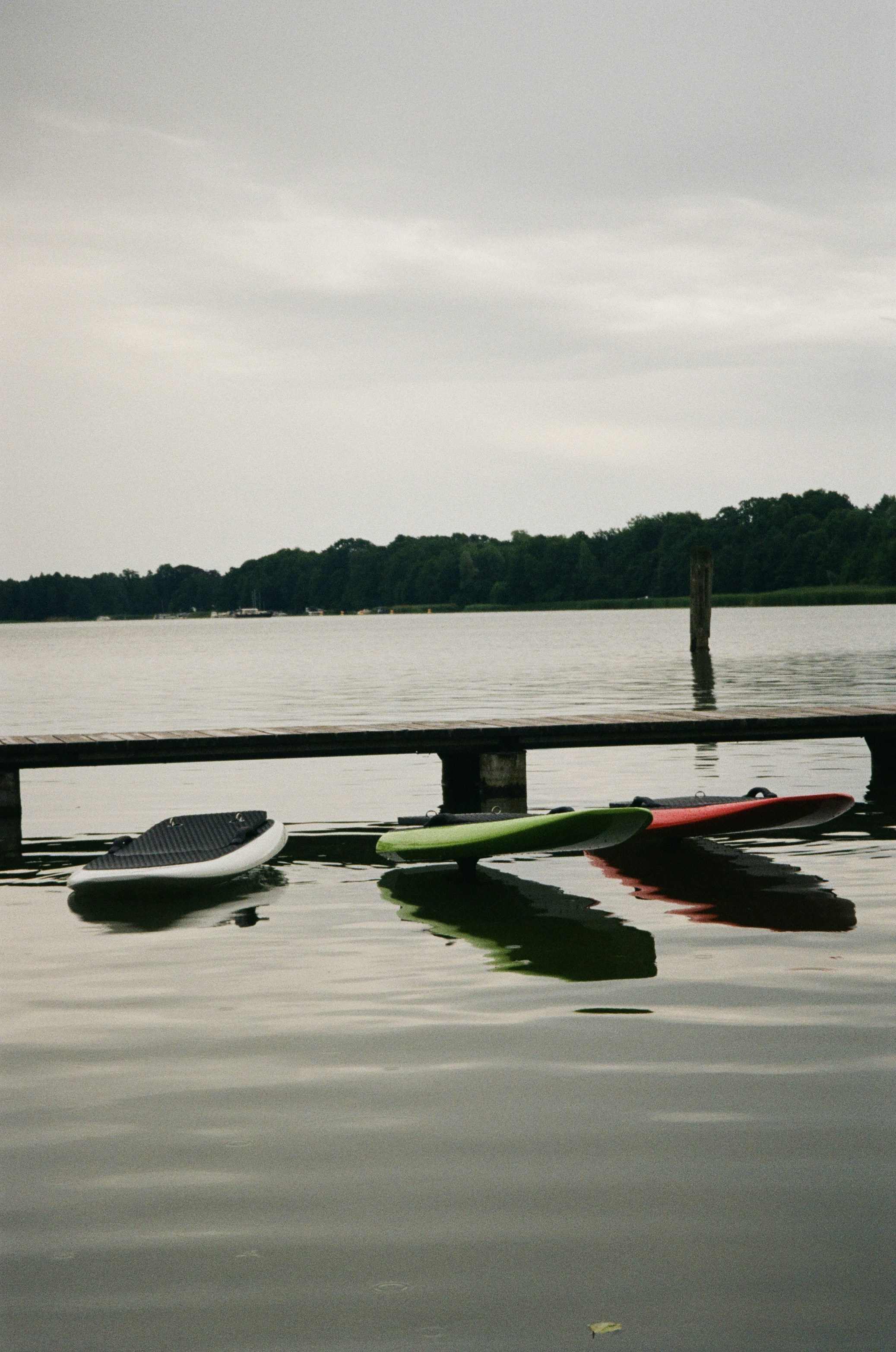 Four paddleboards rest on the water by a dock.
