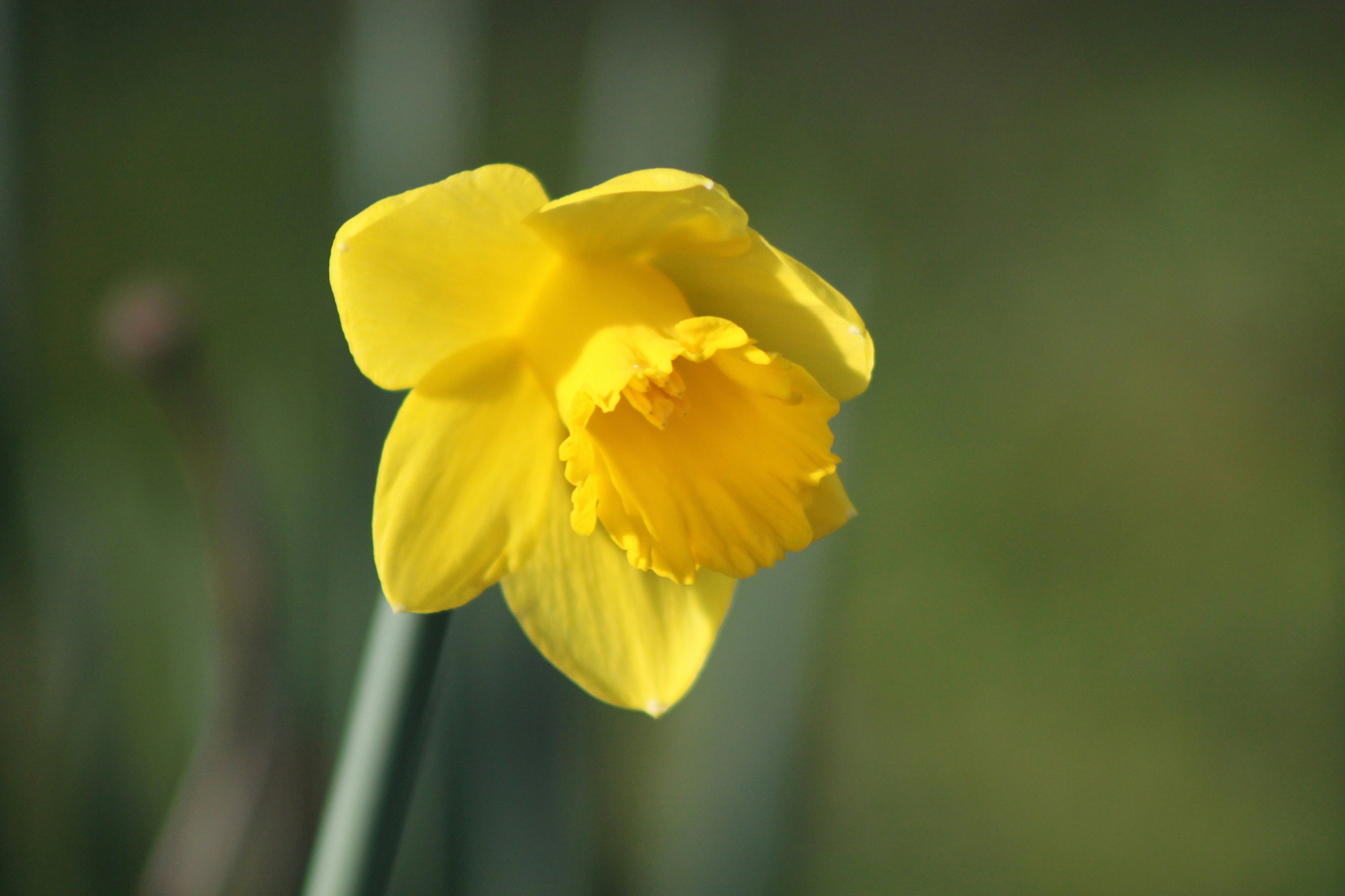 Photo by rubyphotography