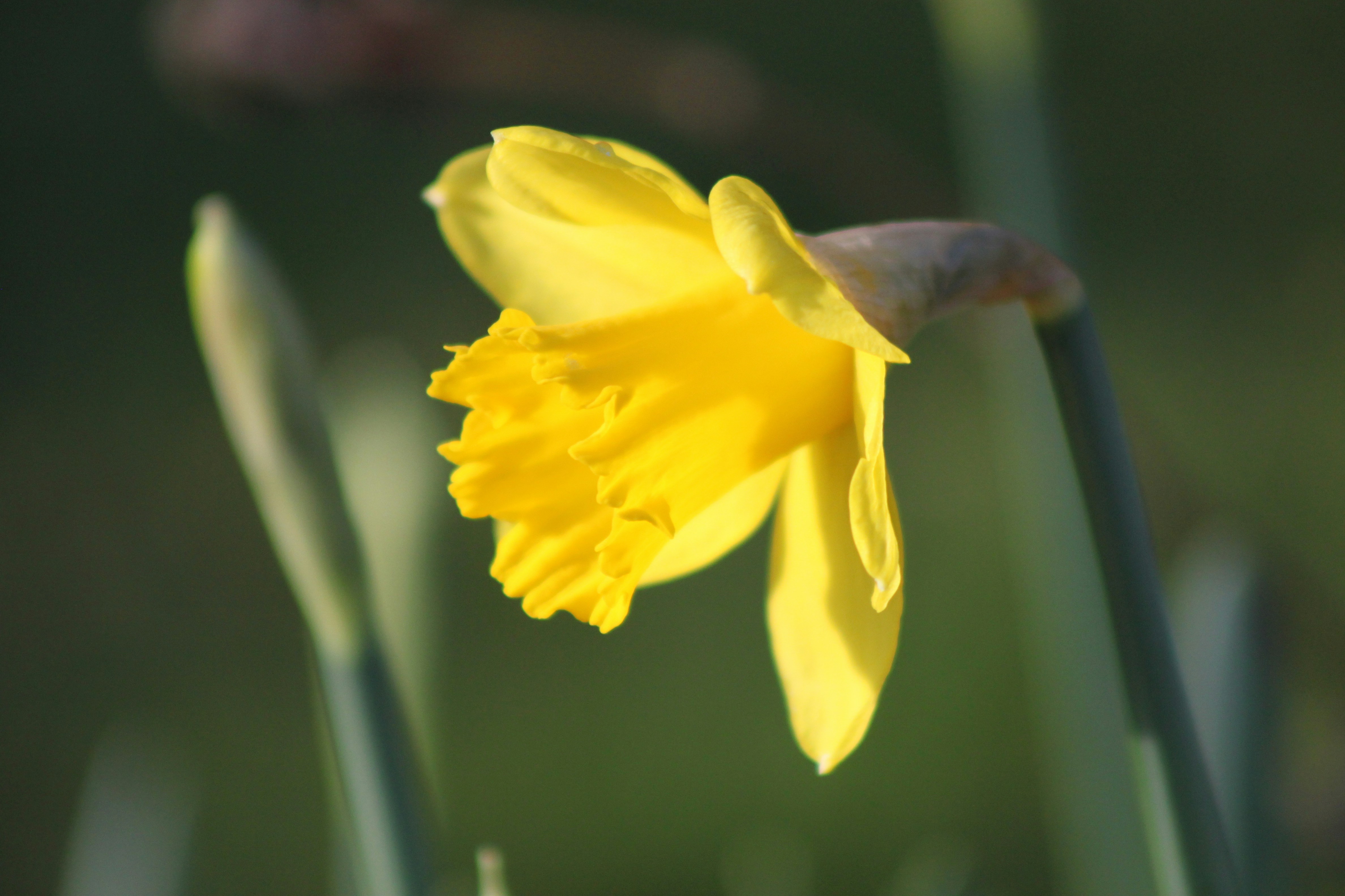 Photo by rubyphotography