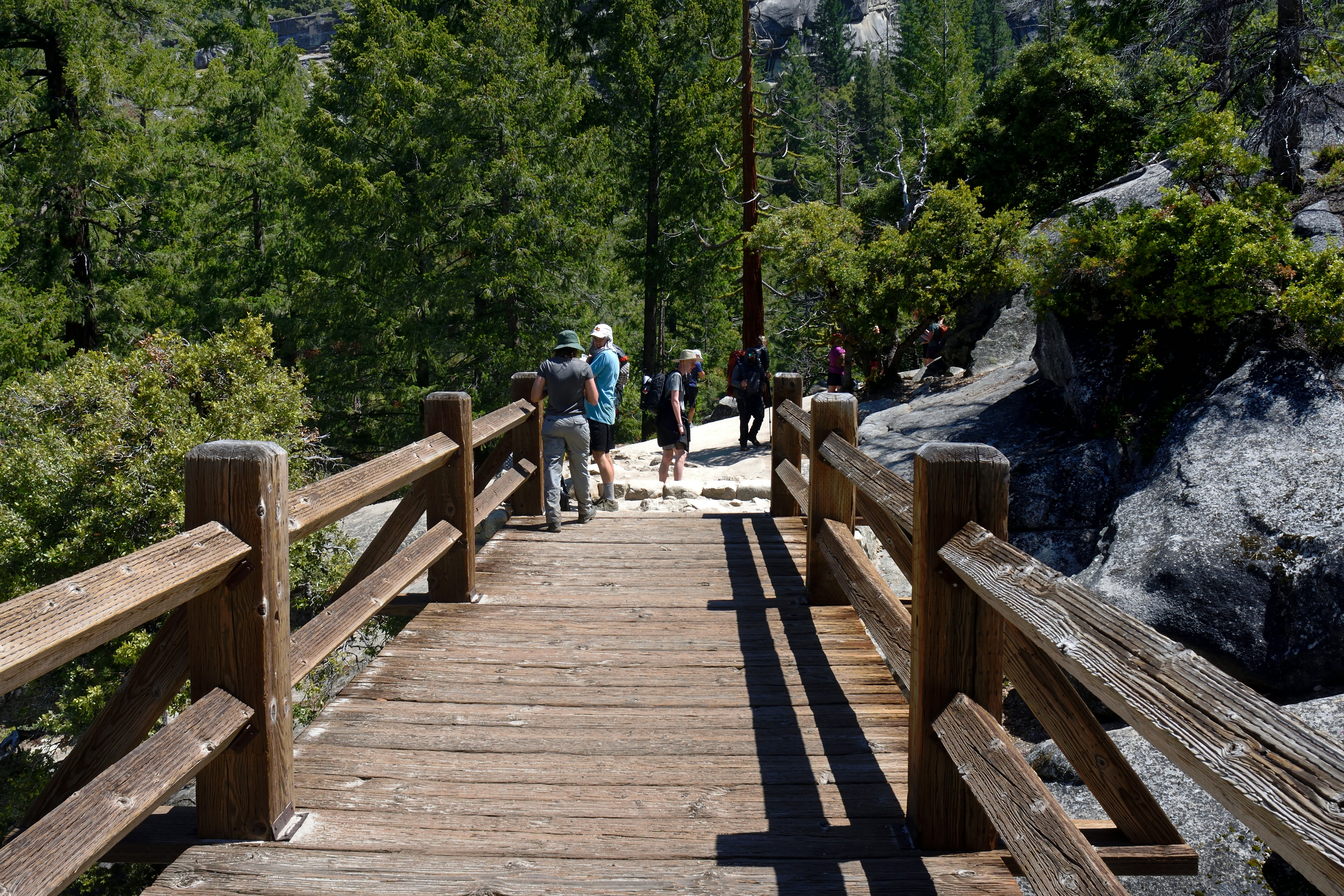 People walk across a wooden bridge in a forest