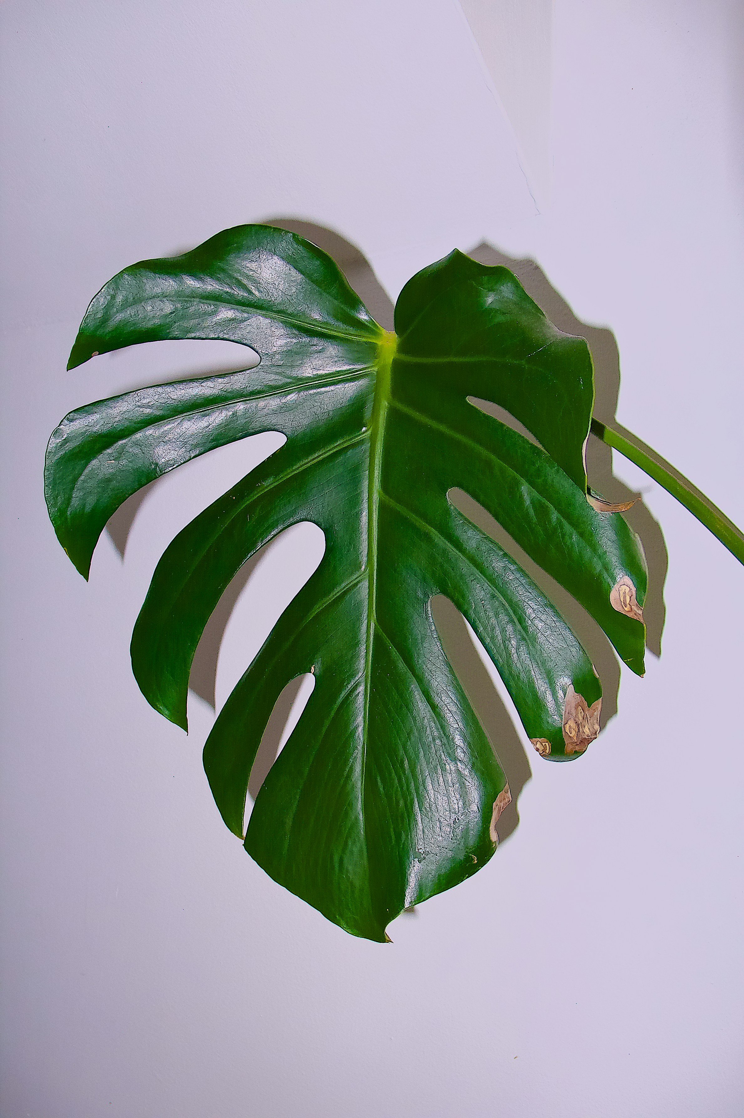 Photo by sherwinphotography