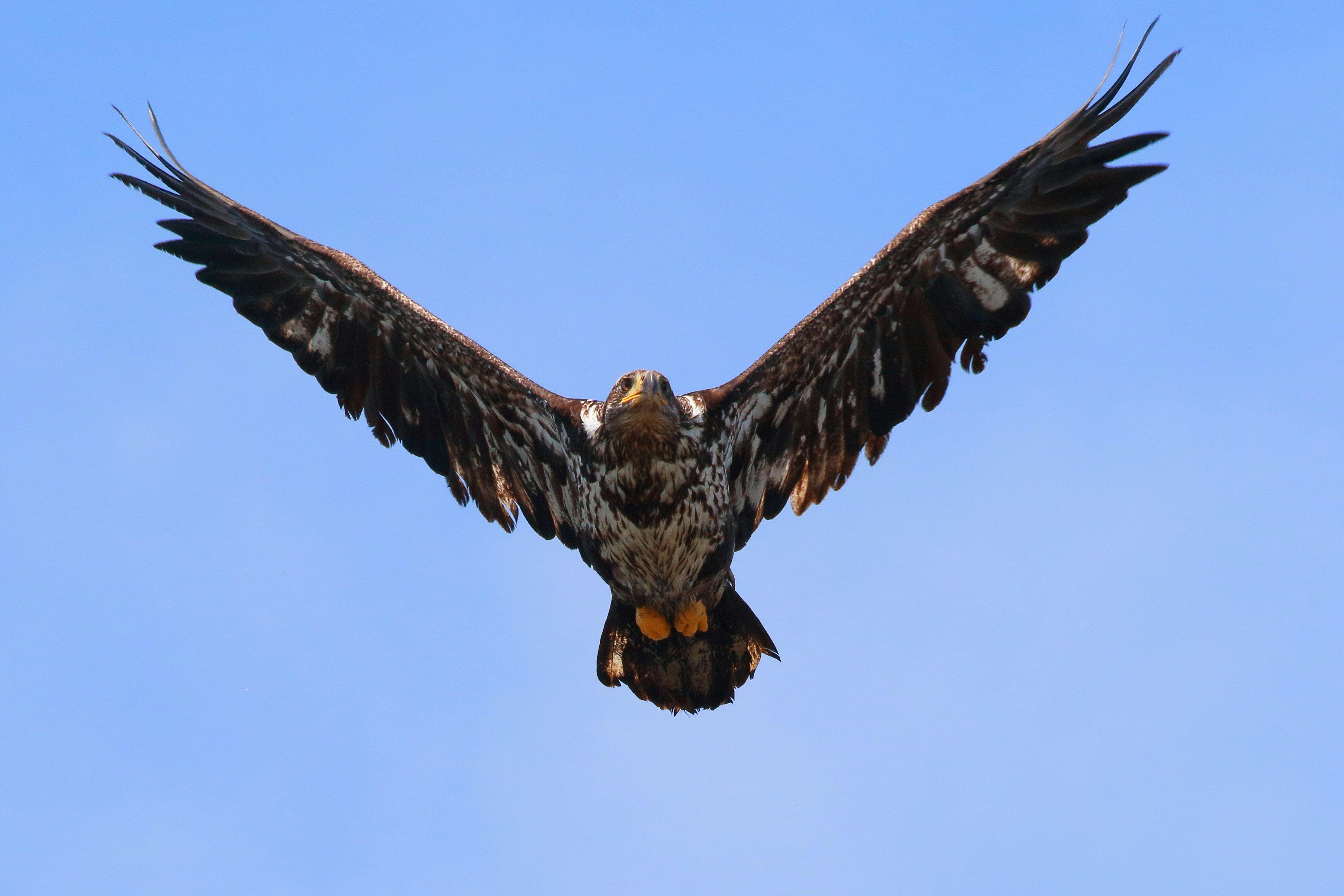 Photo by rowanofthevalley