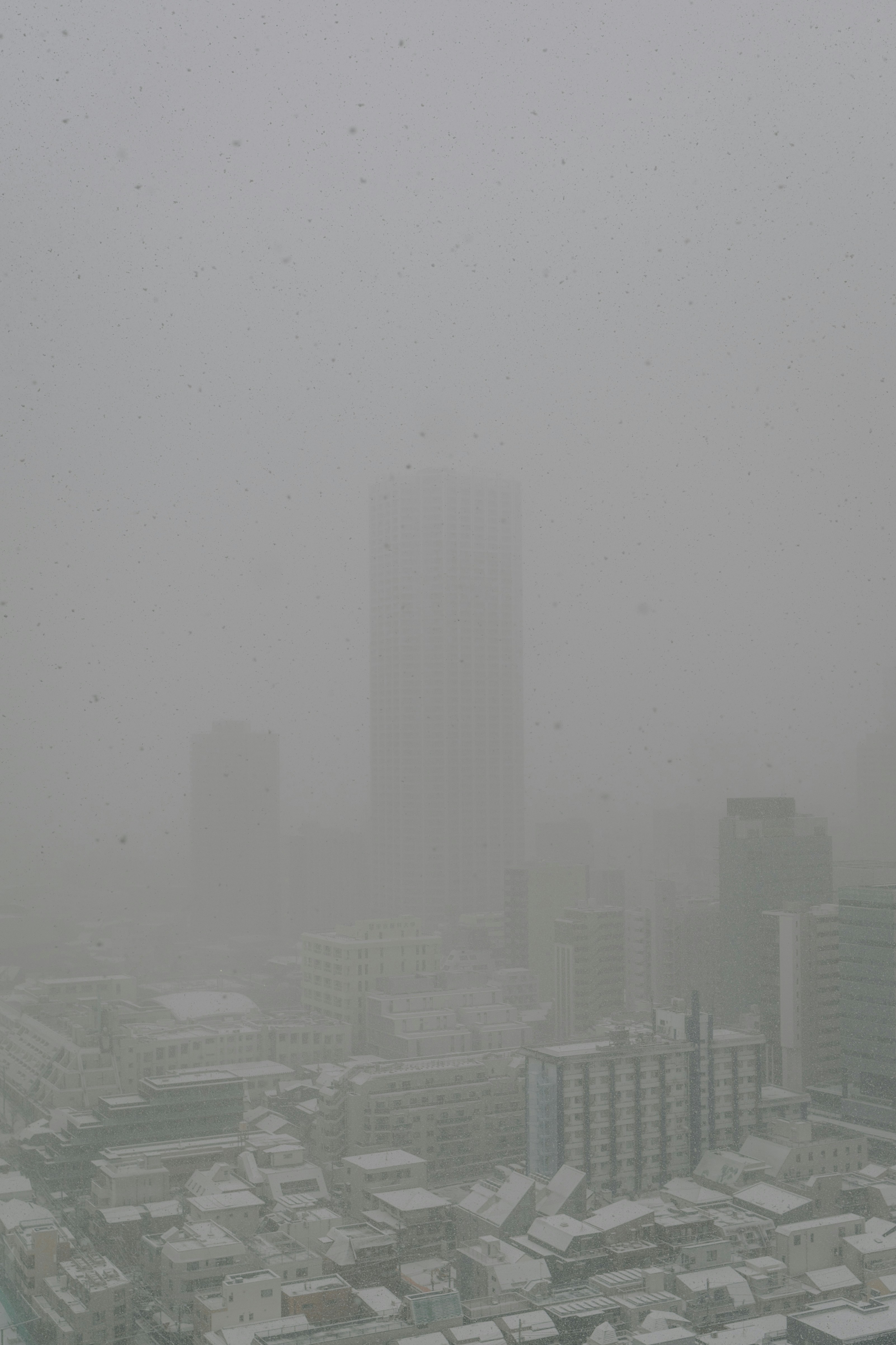 Snowfall blankets a hazy cityscape with tall buildings.