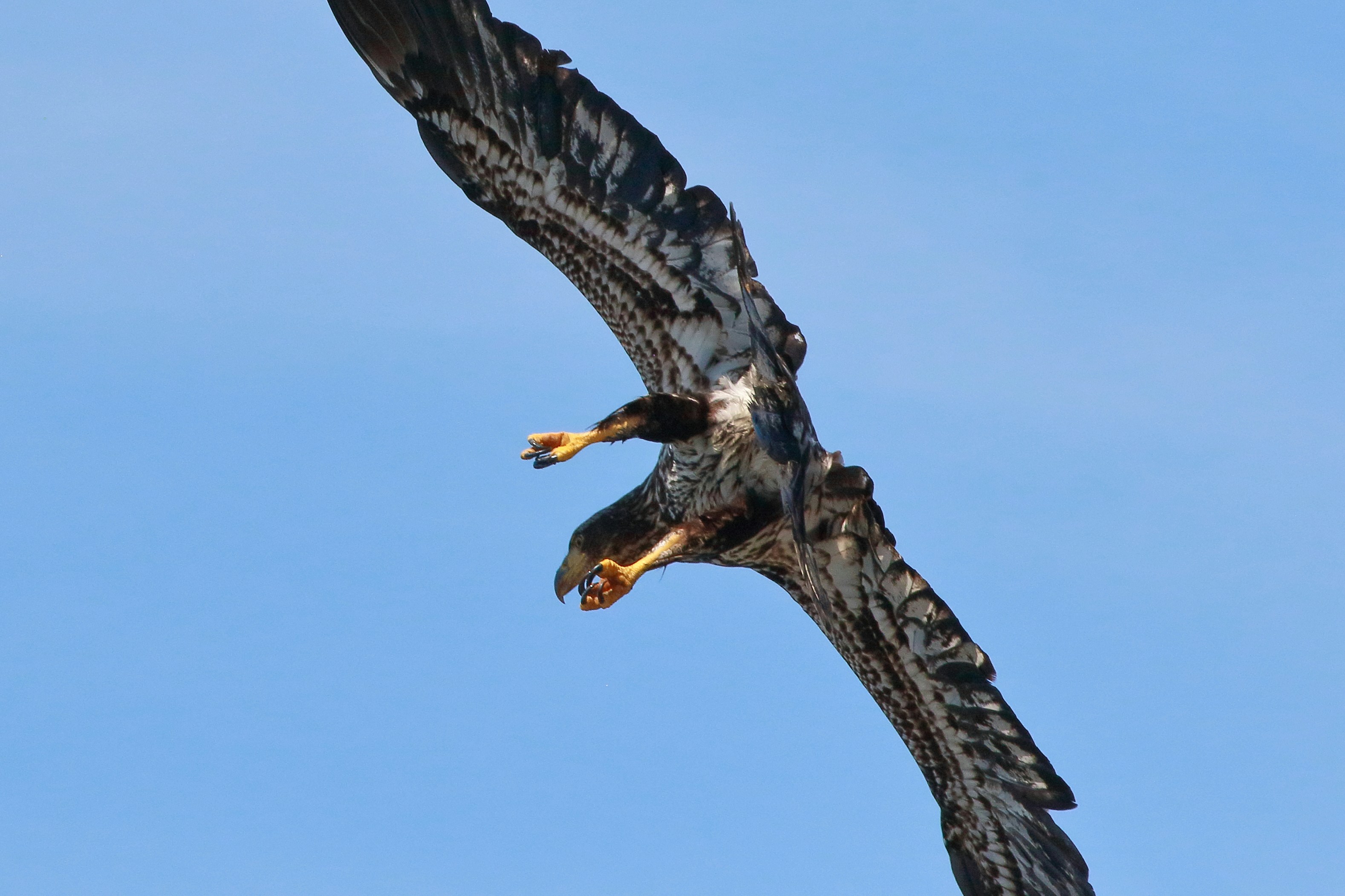 Photo by rowanofthevalley