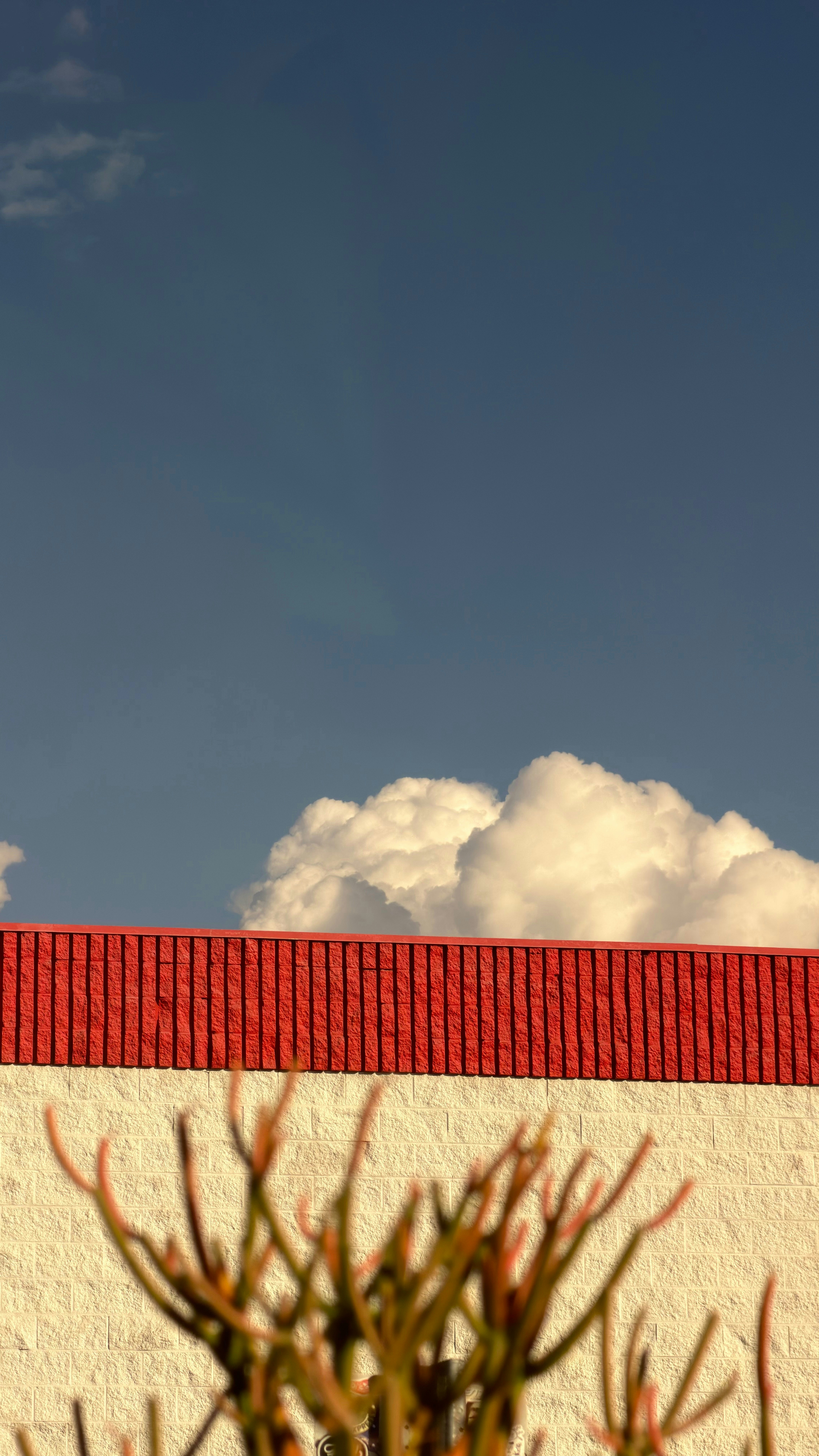 Photo by willmadestudios