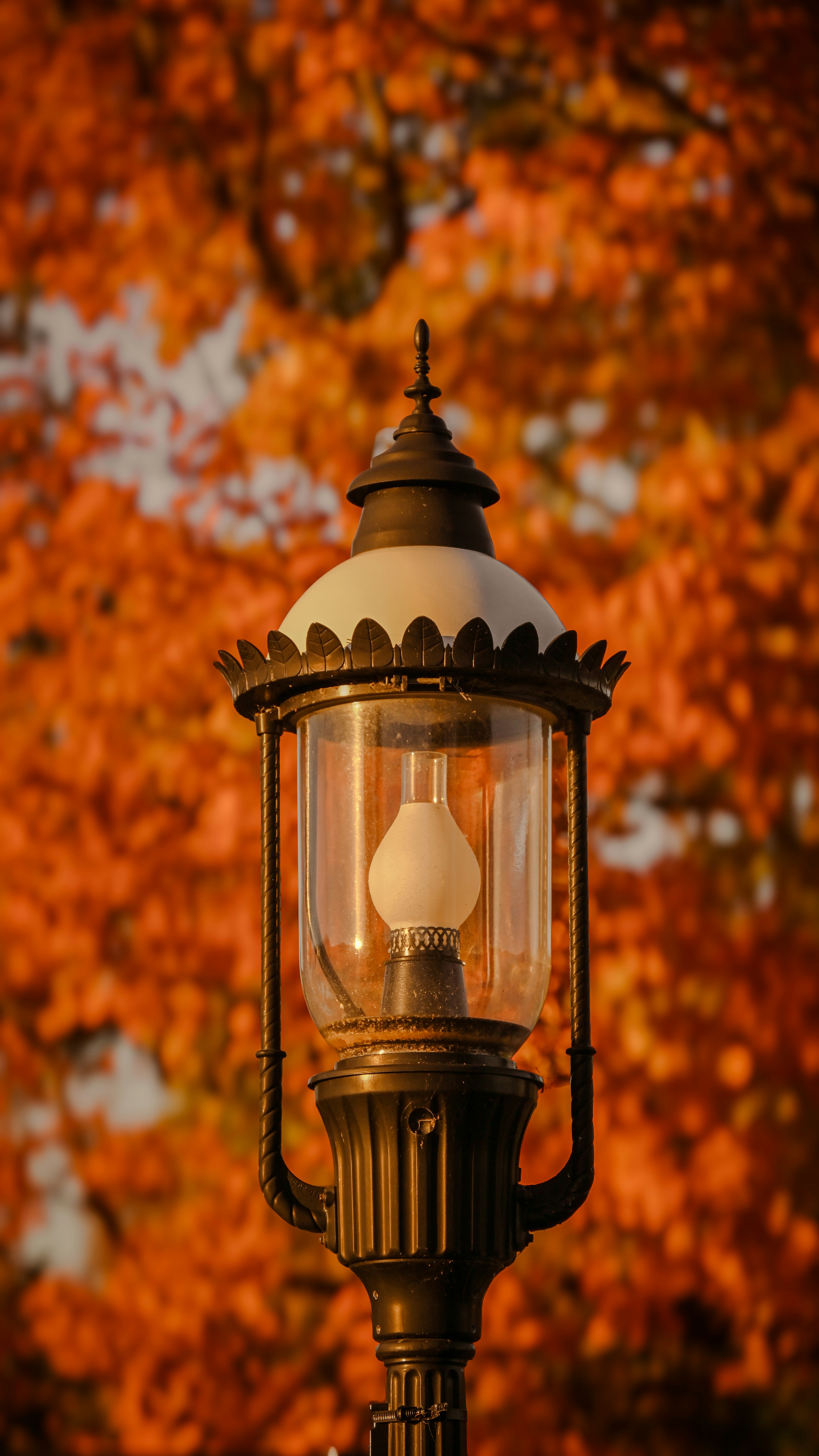 outdoor lantern wallpaper, wallpaper, Best High Tech Lanterns with Bluetooth Connectivity 6