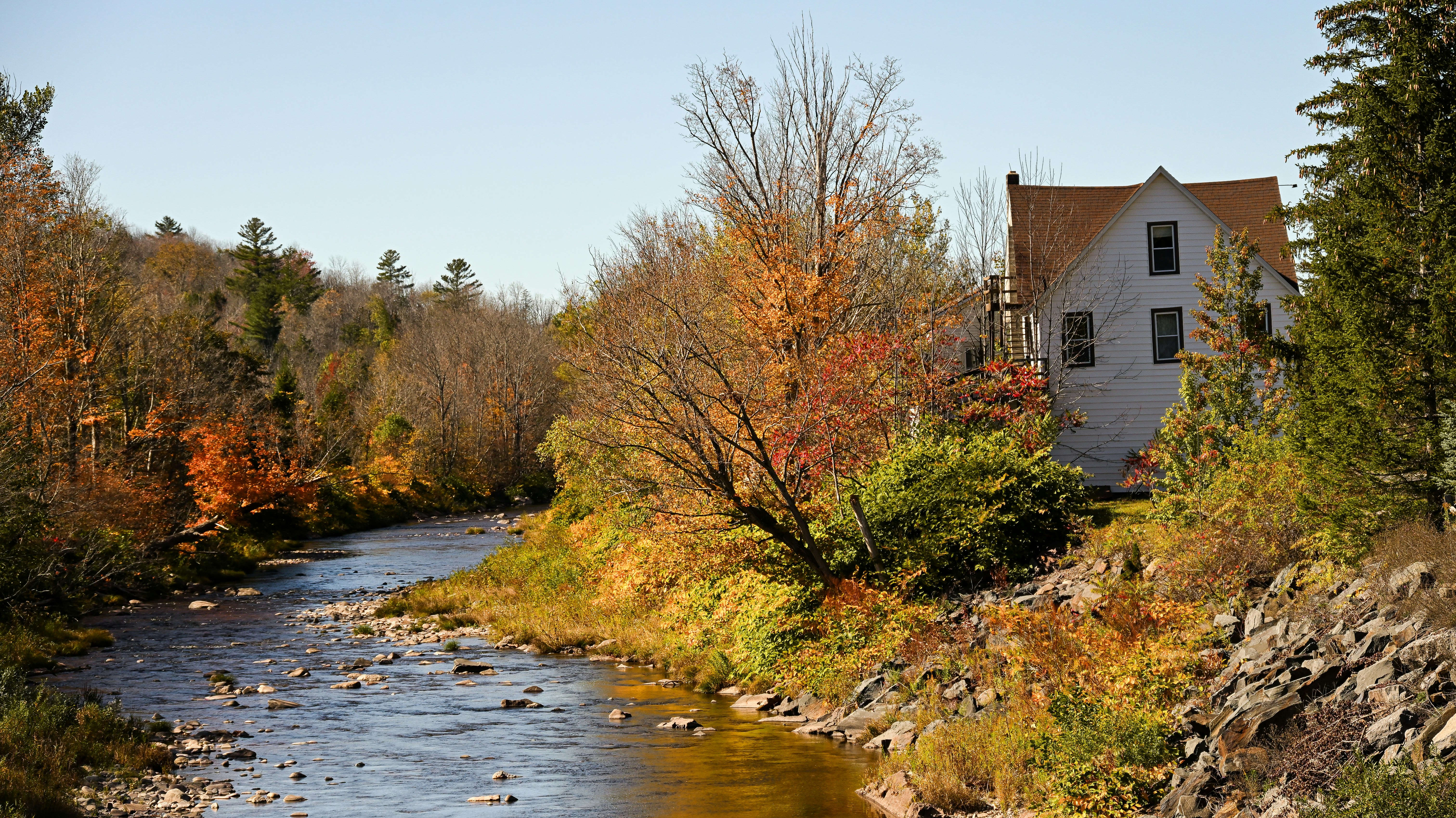 Photo by rigel_s_lens