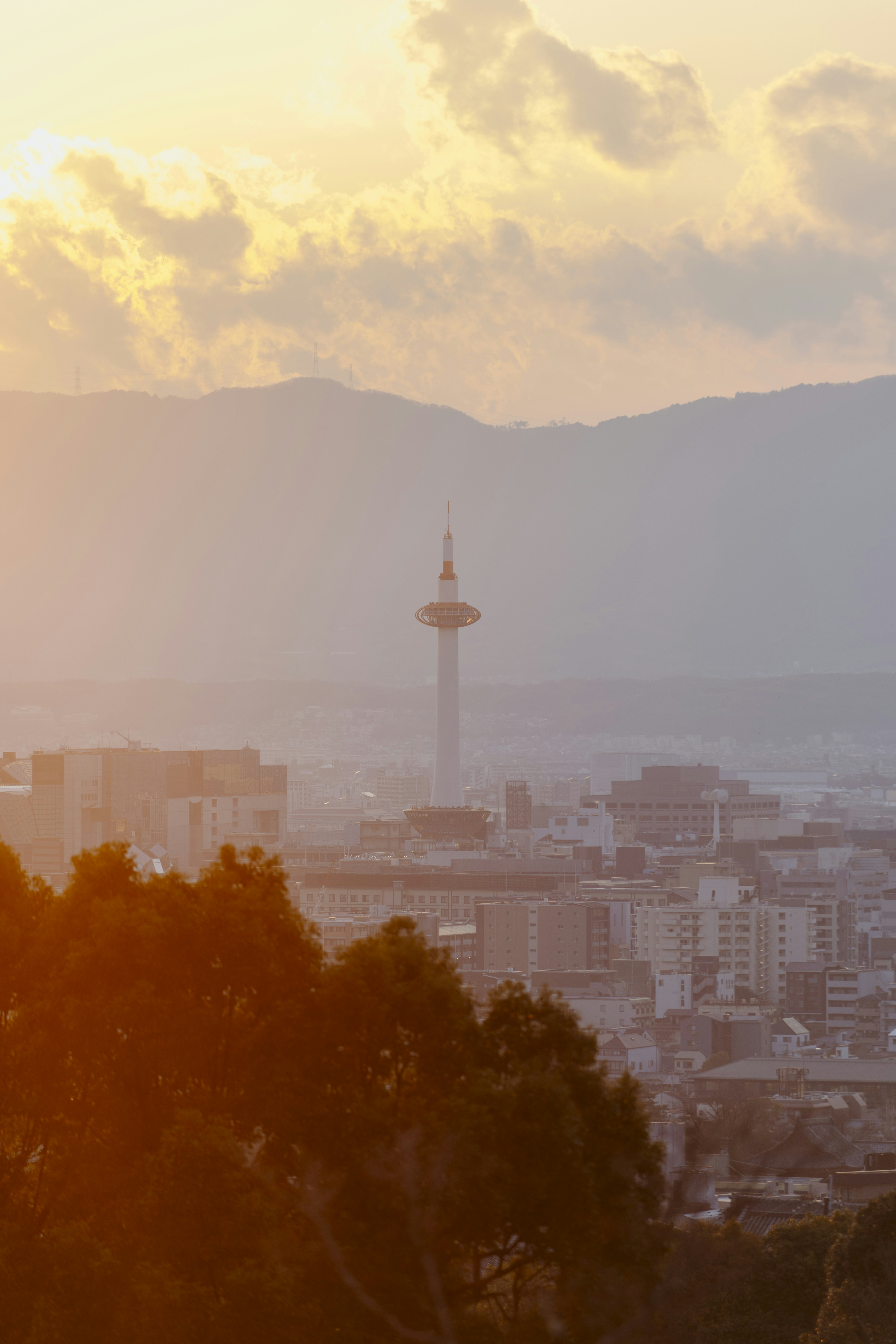 Photo by lifeof_peter_