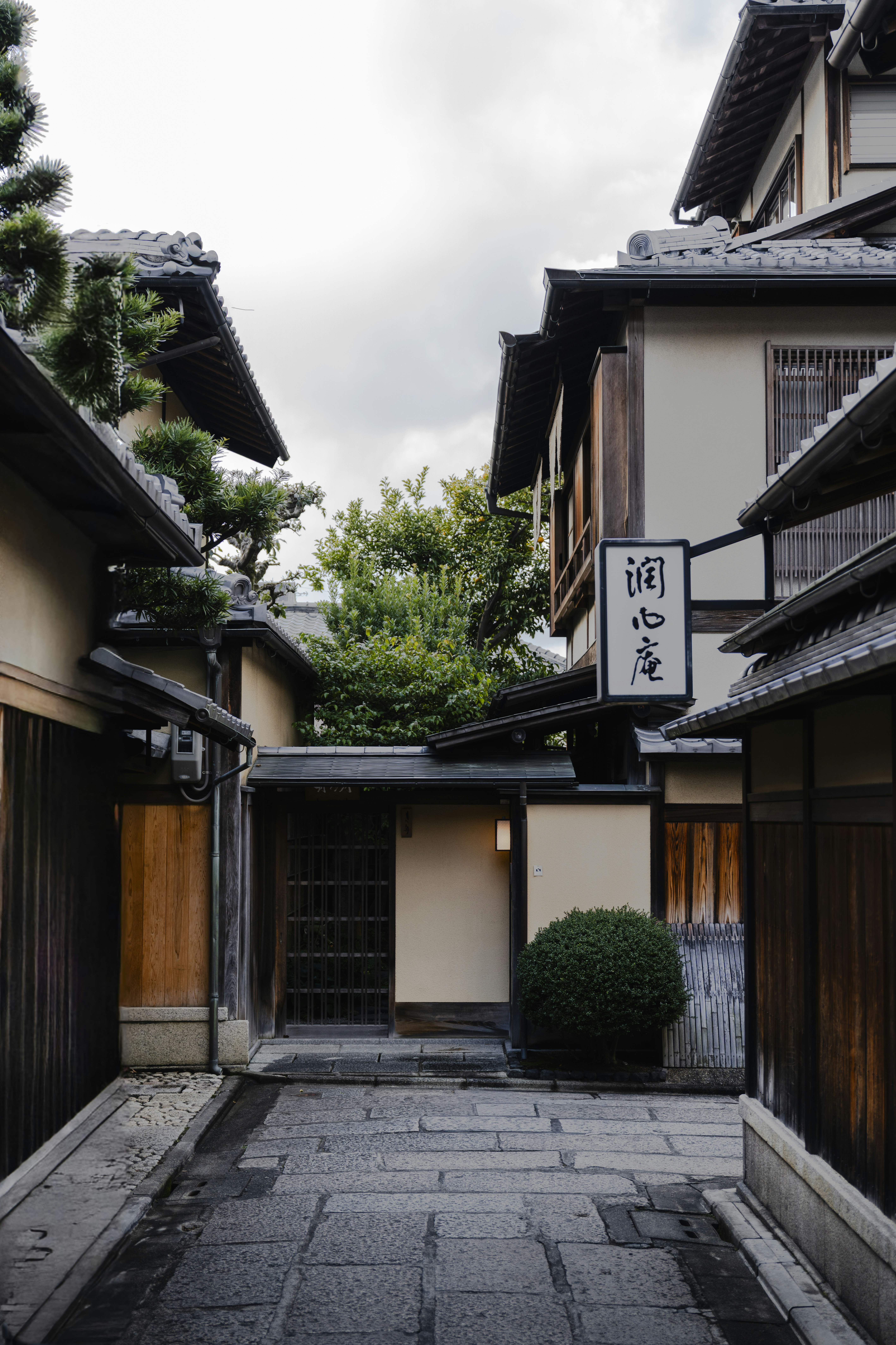 Photo by lifeof_peter_