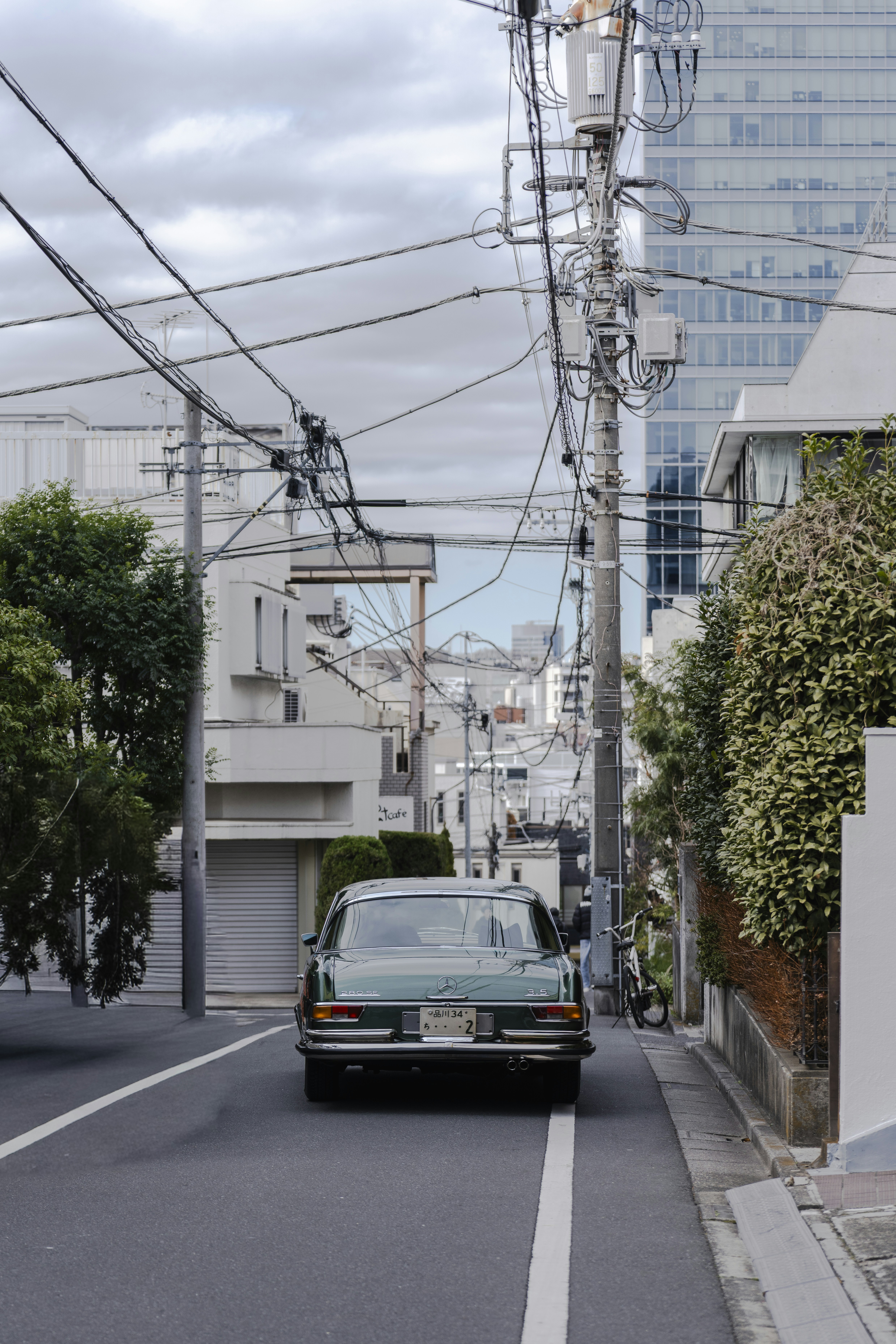 Photo by lifeof_peter_