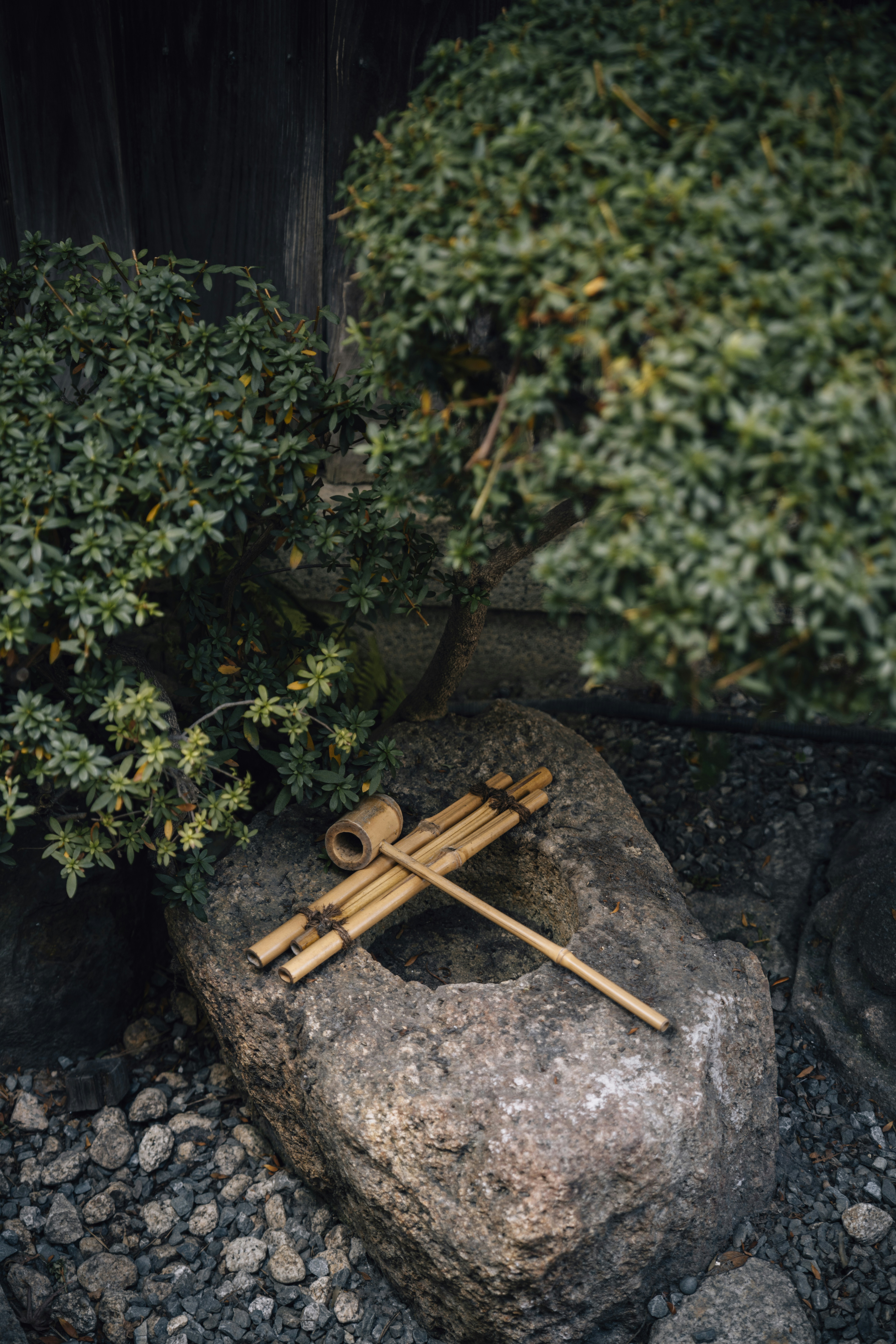 Photo by lifeof_peter_