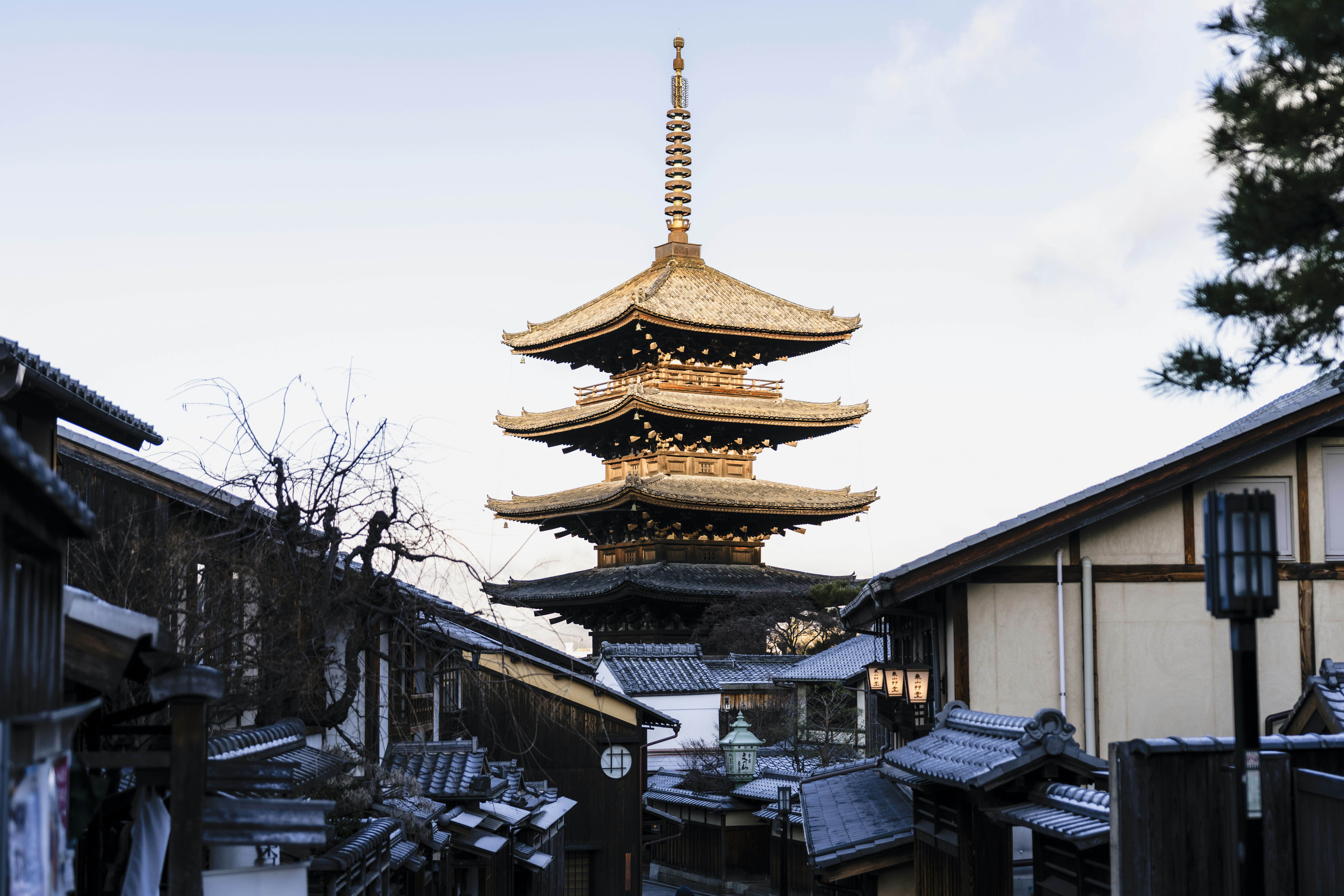 Photo by lifeof_peter_