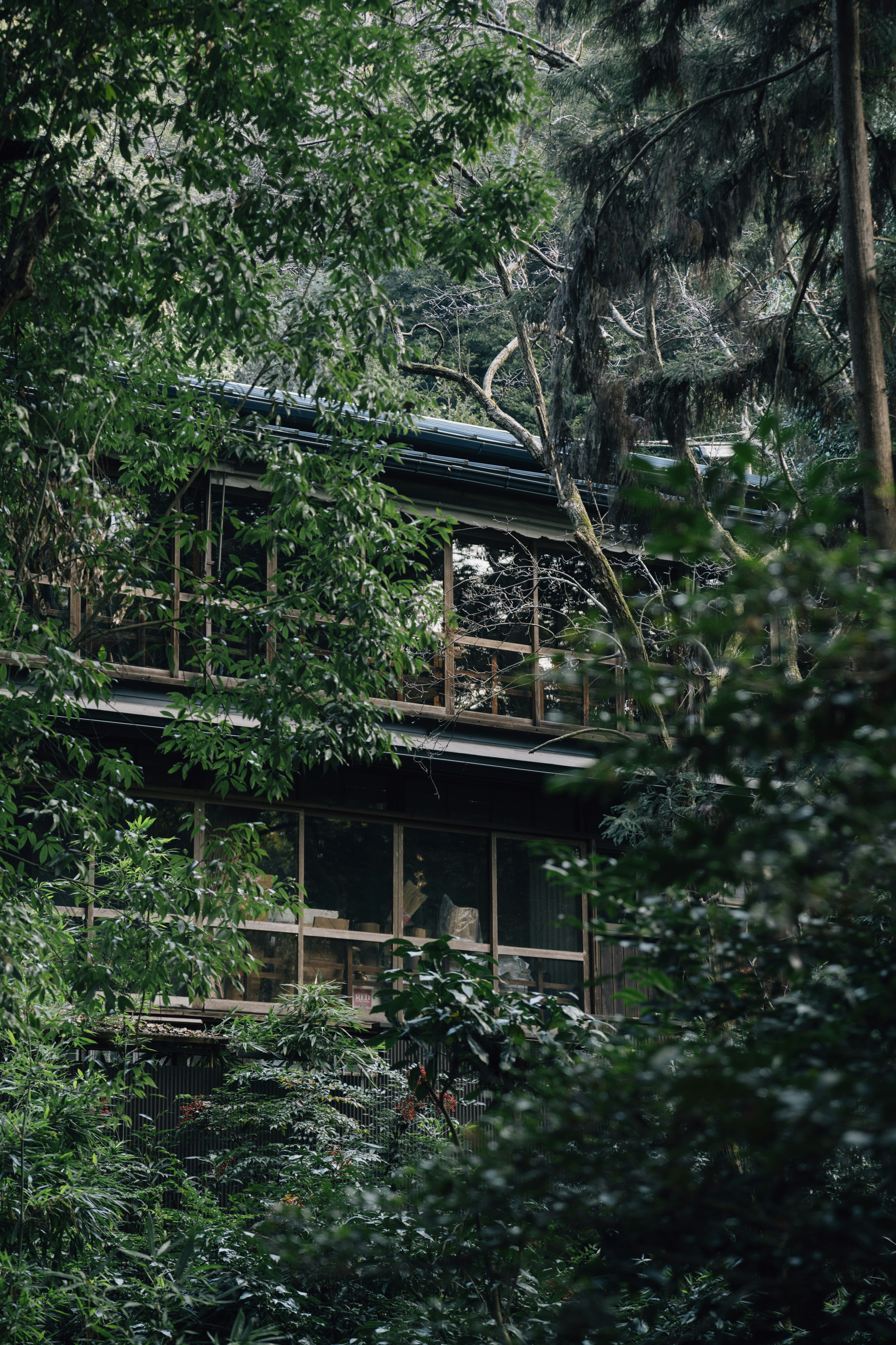 Photo by lifeof_peter_