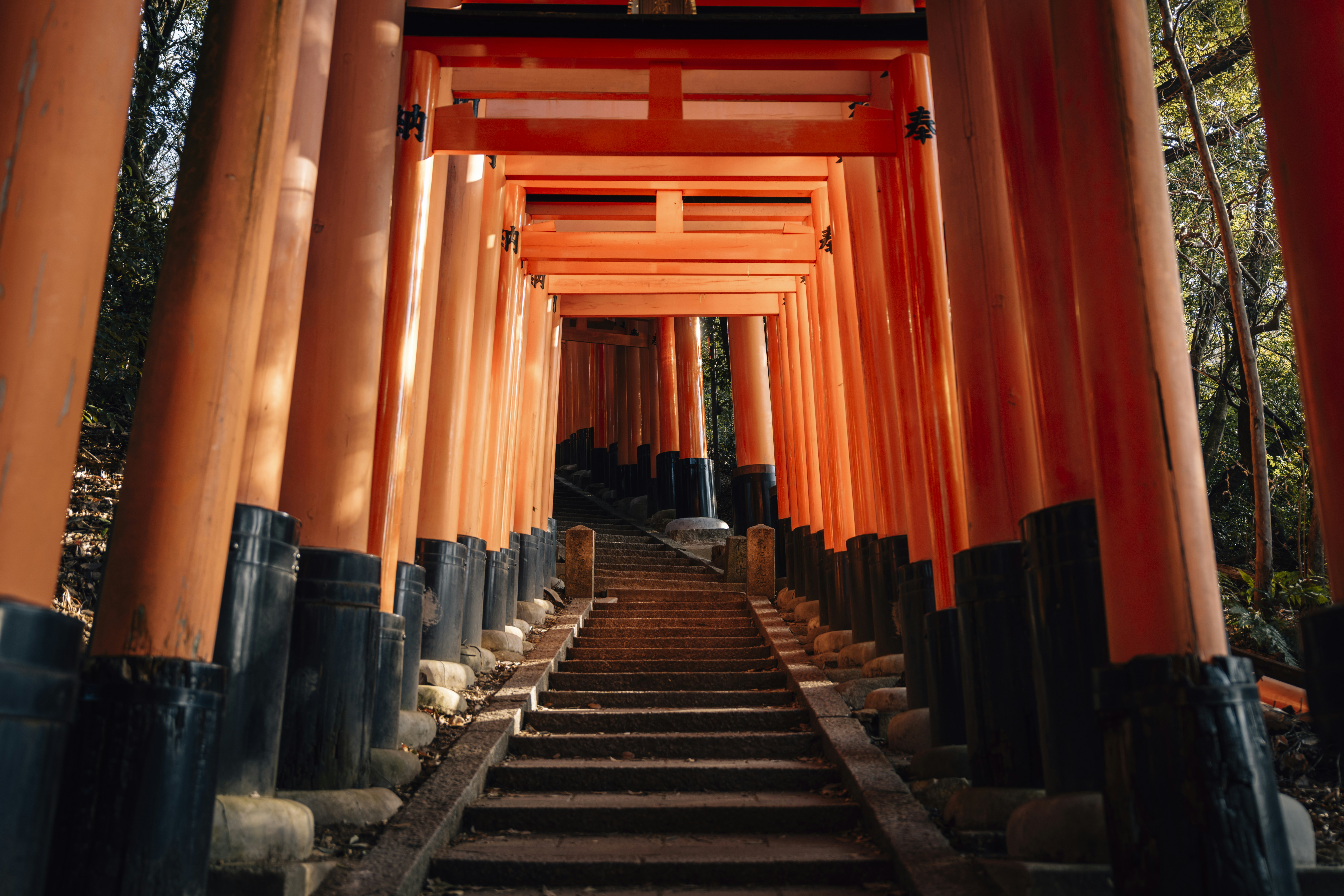 Photo by lifeof_peter_