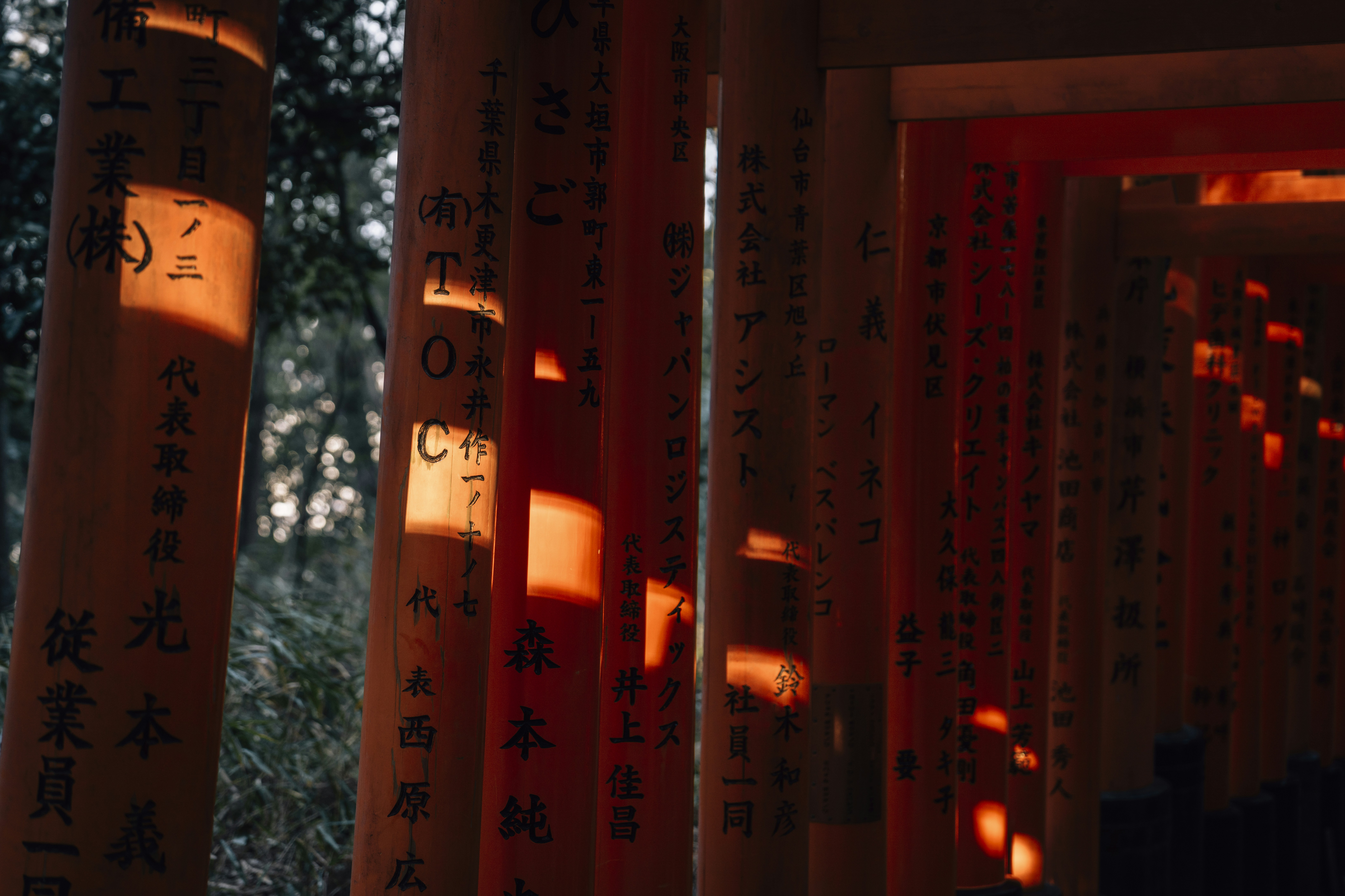 Rows of orange torii gates with sunlight patterns