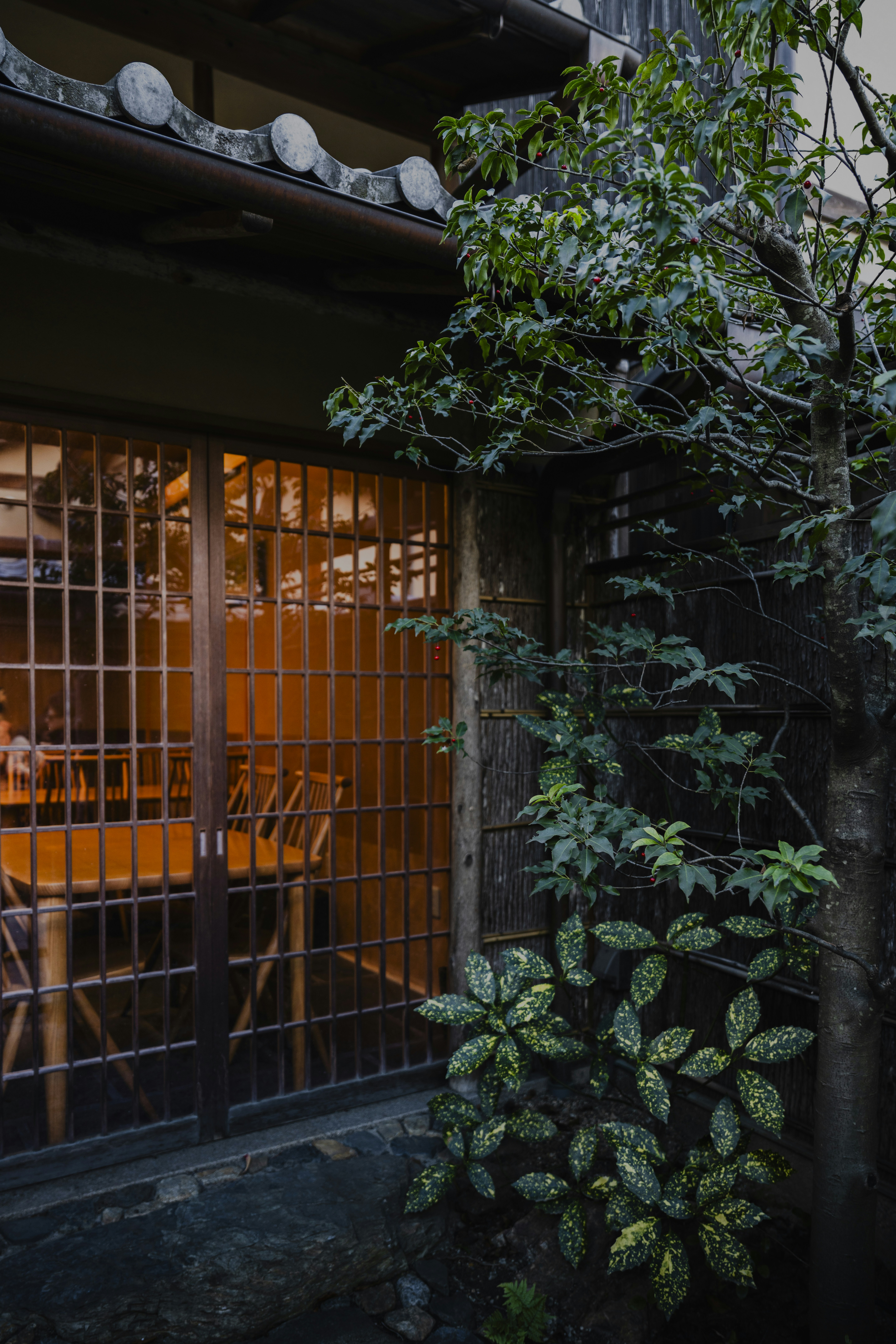 Warm light glows from a japanese restaurant window.